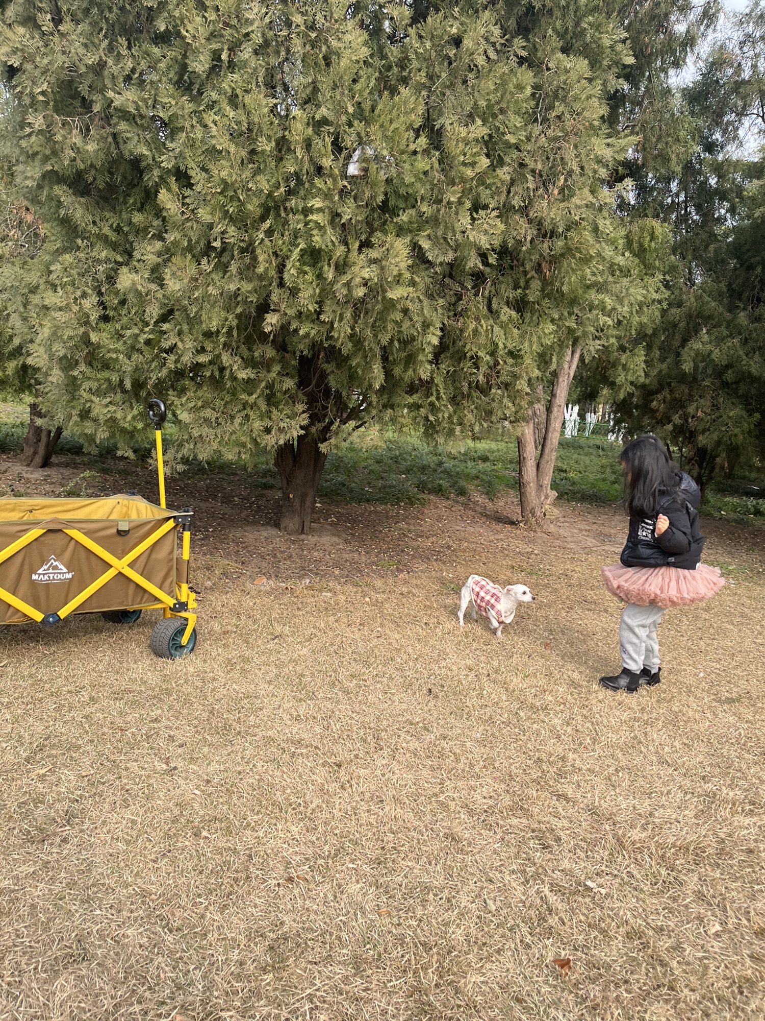 泰丰公园旅行图片 3