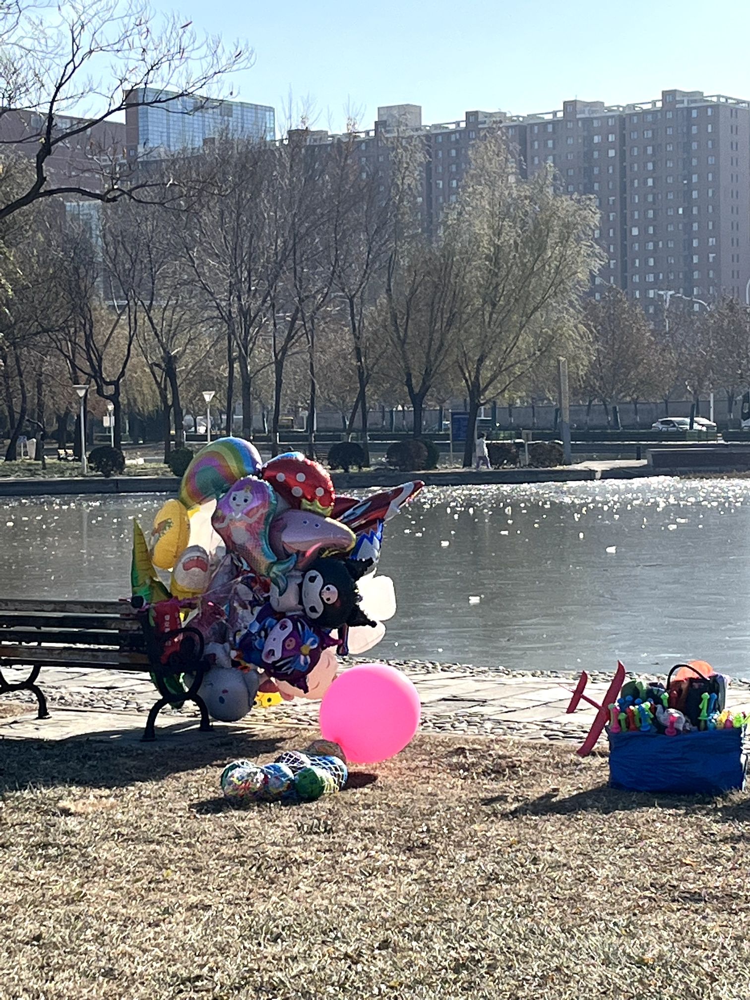 泰丰公园旅行图片 3
