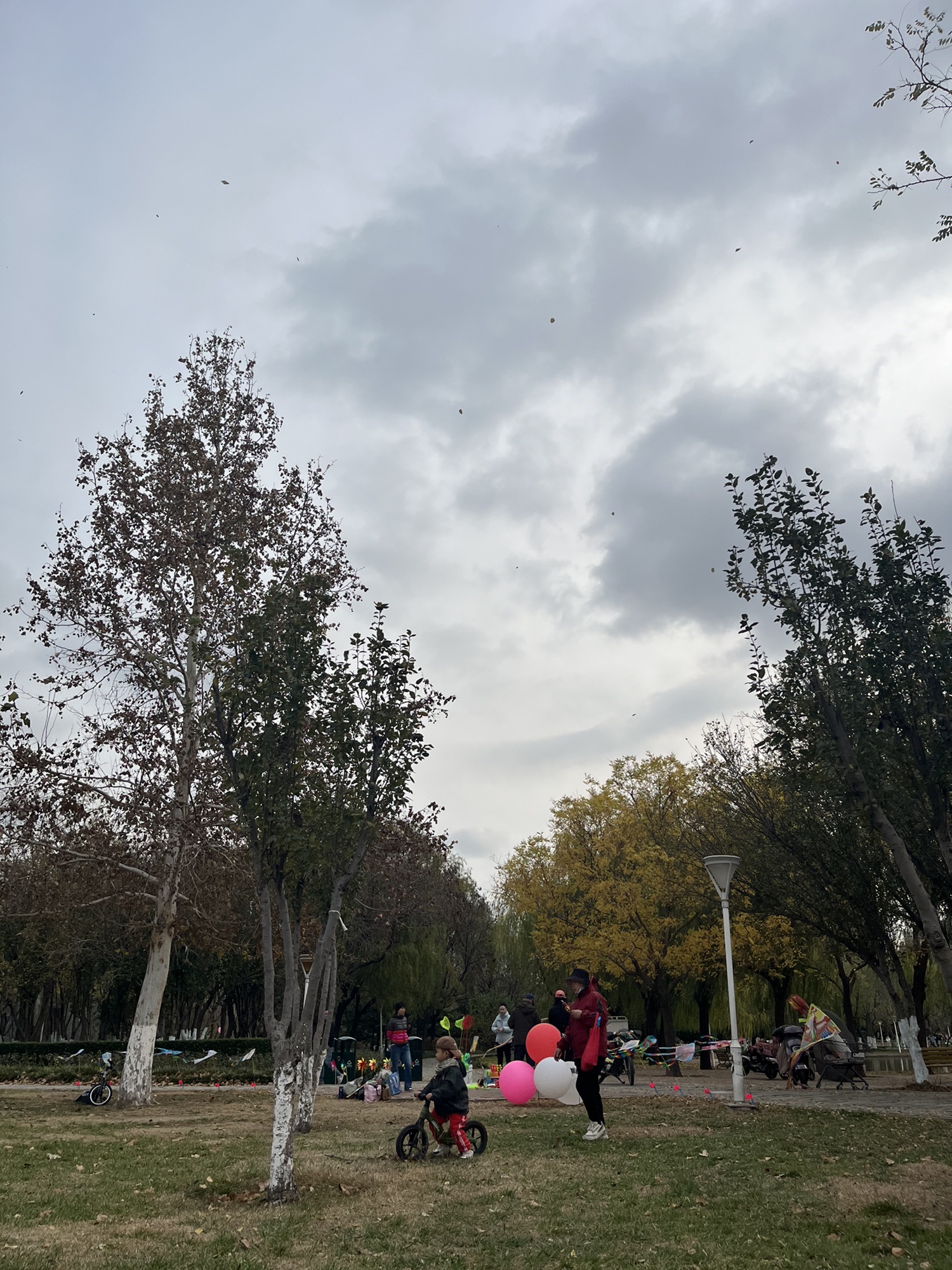 泰丰公园旅行图片 2