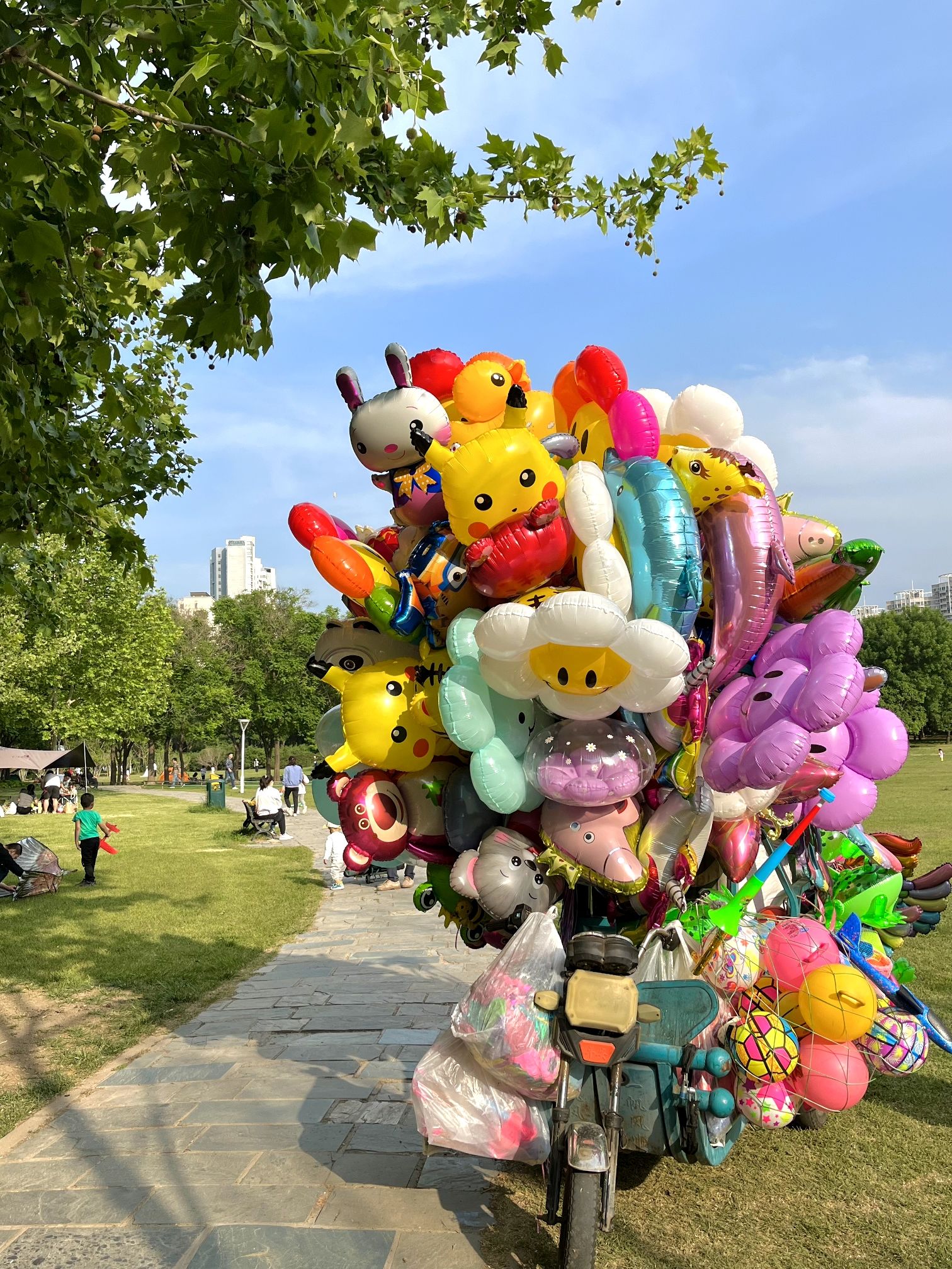 泰丰公园旅行图片 1