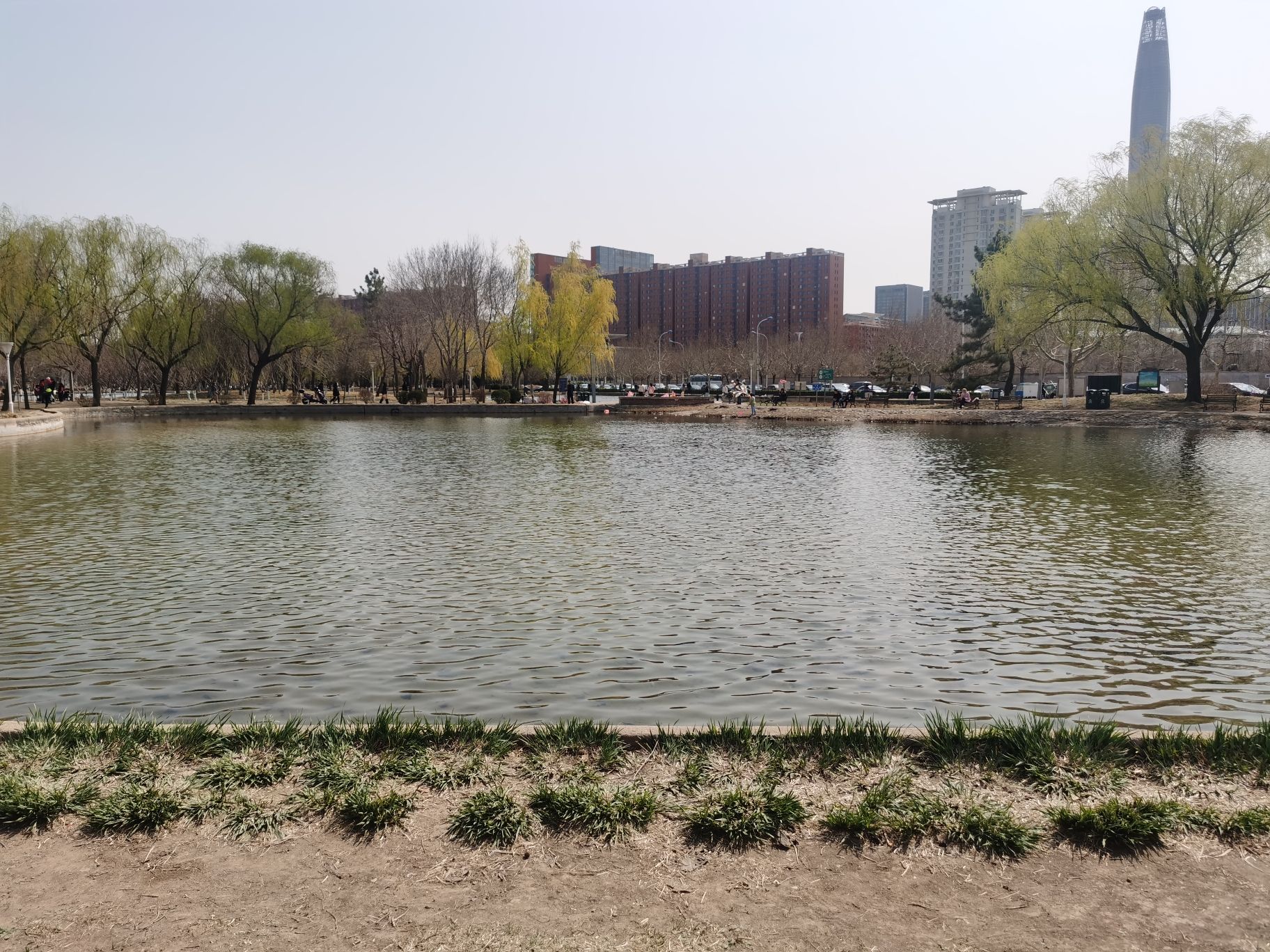 泰丰公园旅行图片 1