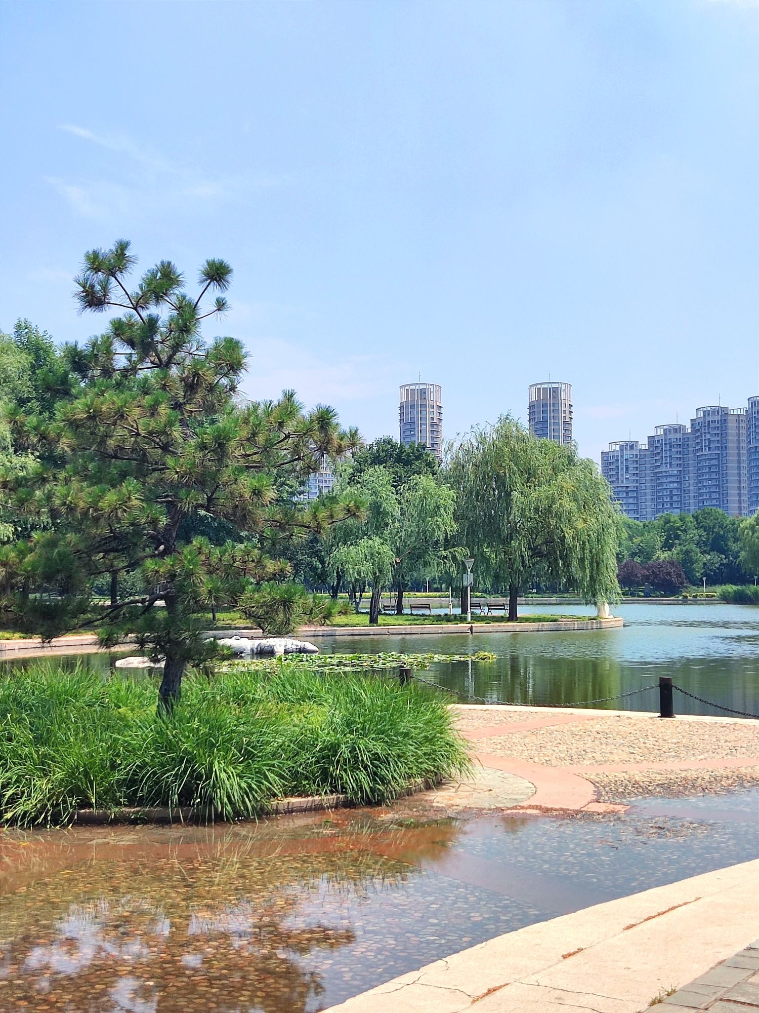 泰丰公园旅行图片 2