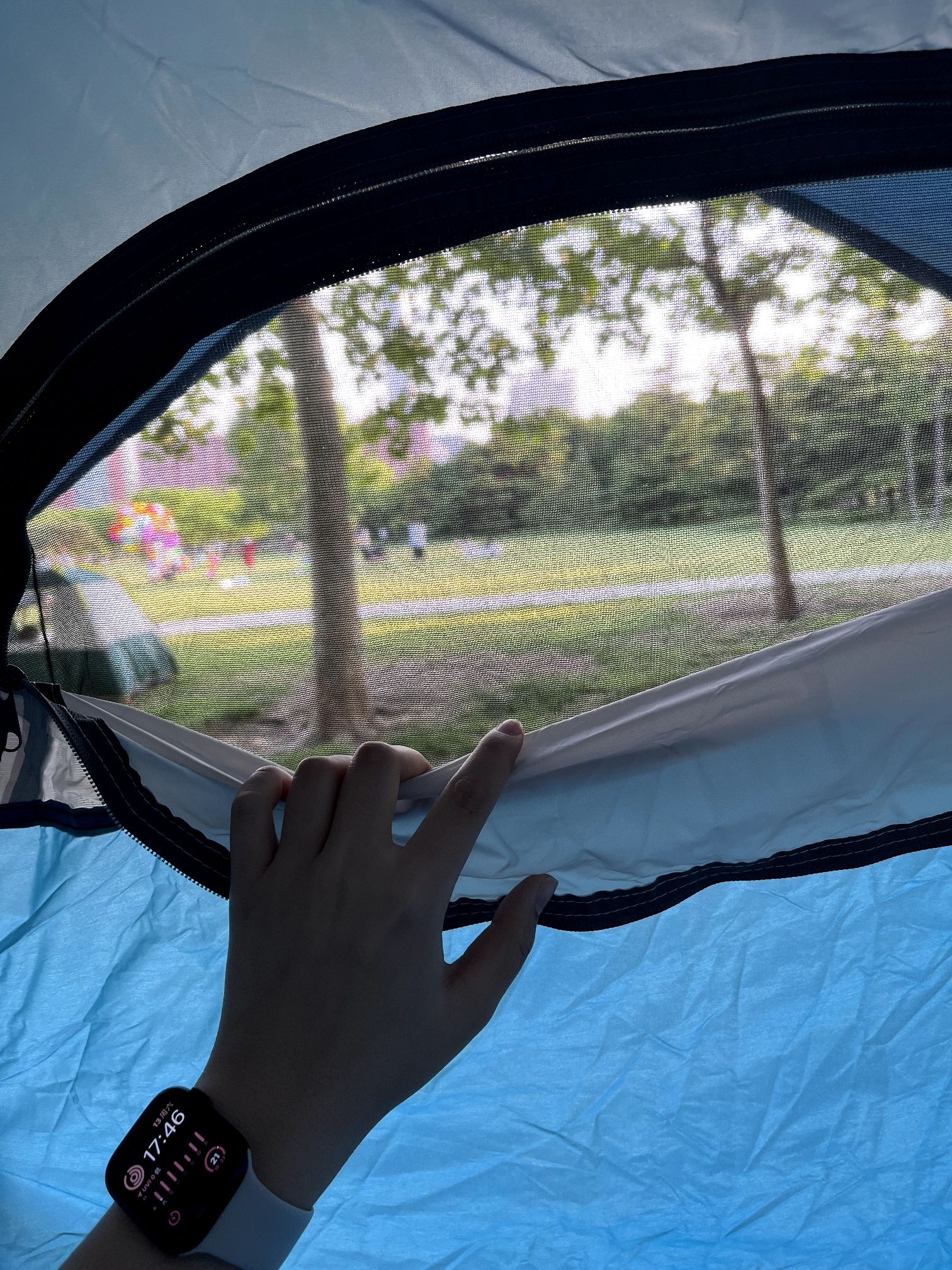 泰丰公园旅行图片 2