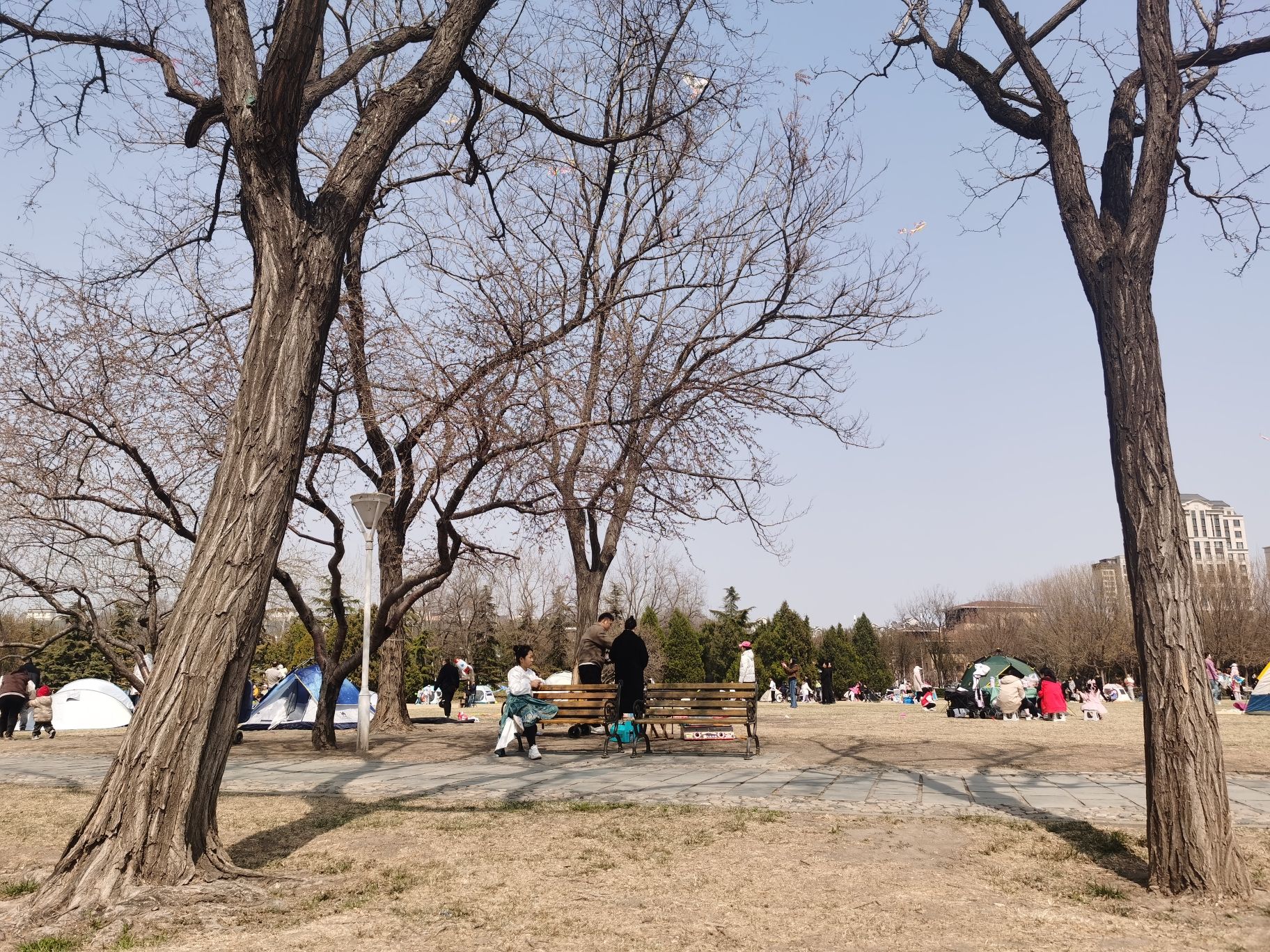 泰丰公园旅行图片 3