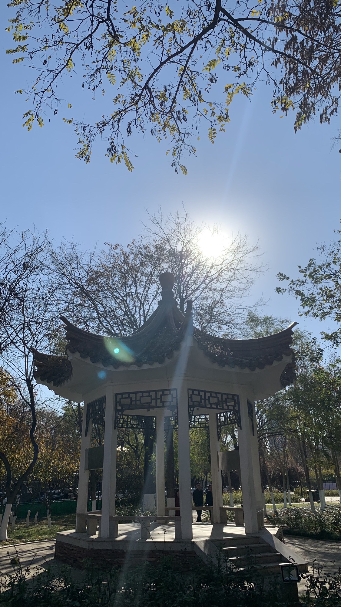 天津五大道文化旅游区旅行图片 2