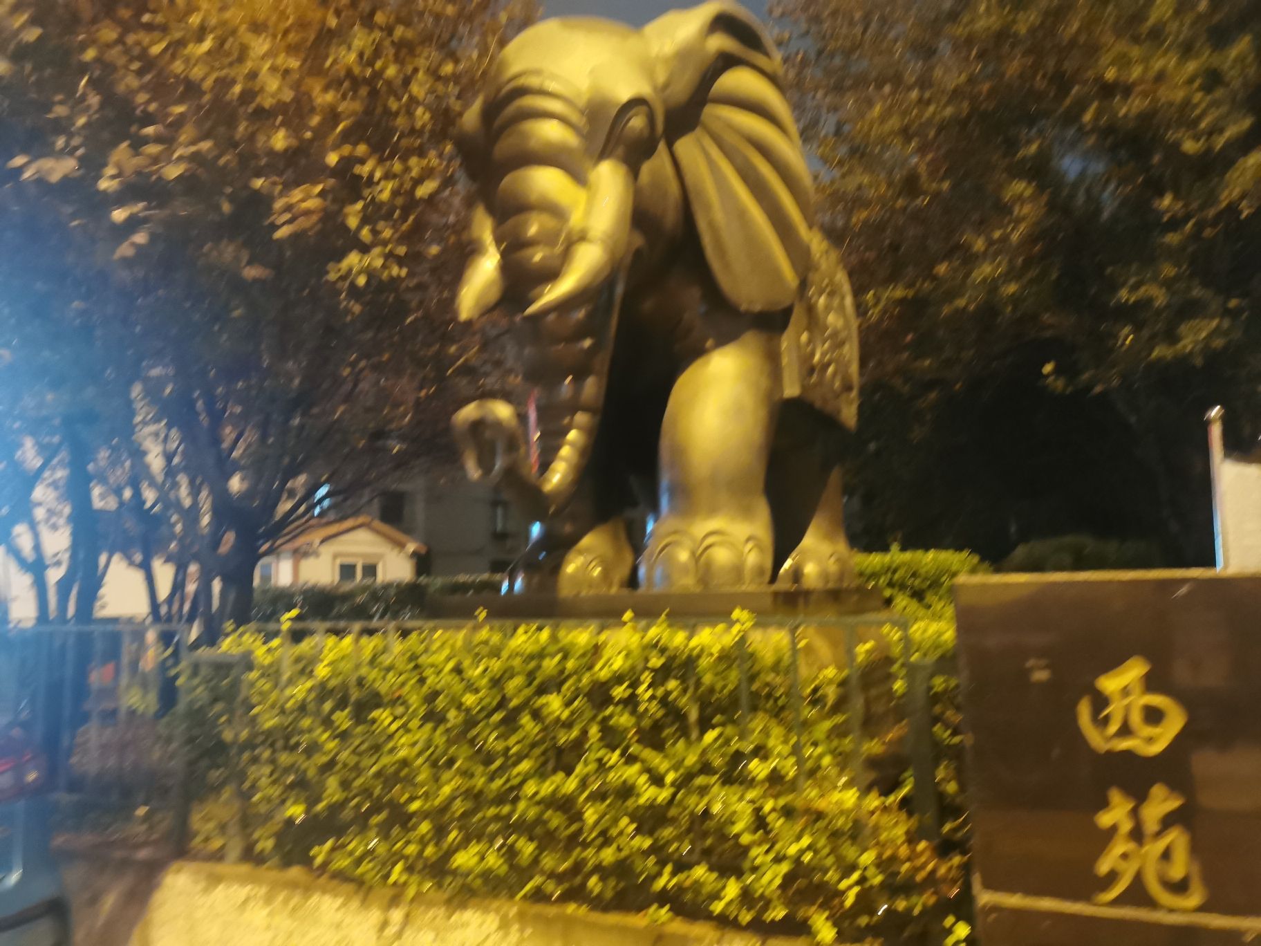 西苑旅行图片 1