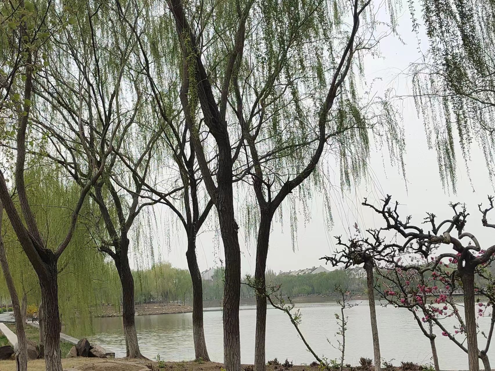 滨海公园旅行图片 3