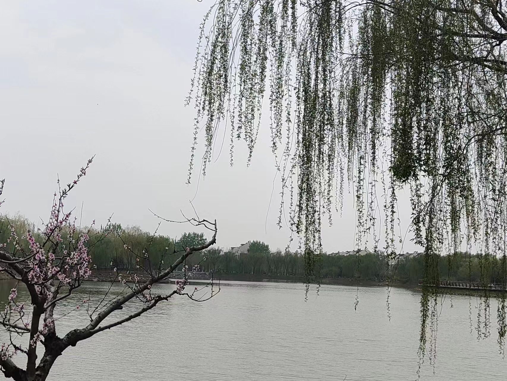 滨海公园旅行图片 1