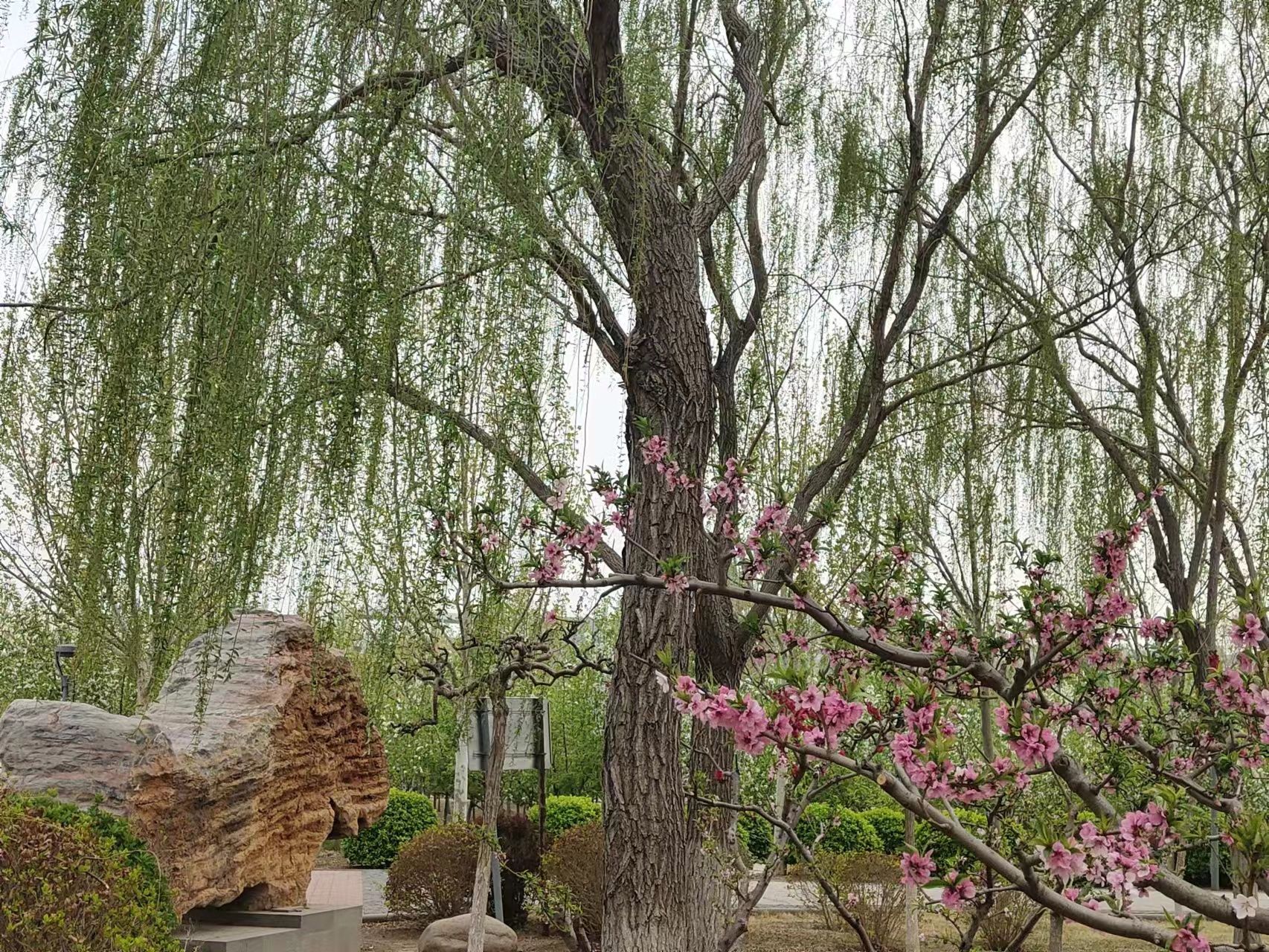 滨海公园旅行图片 2