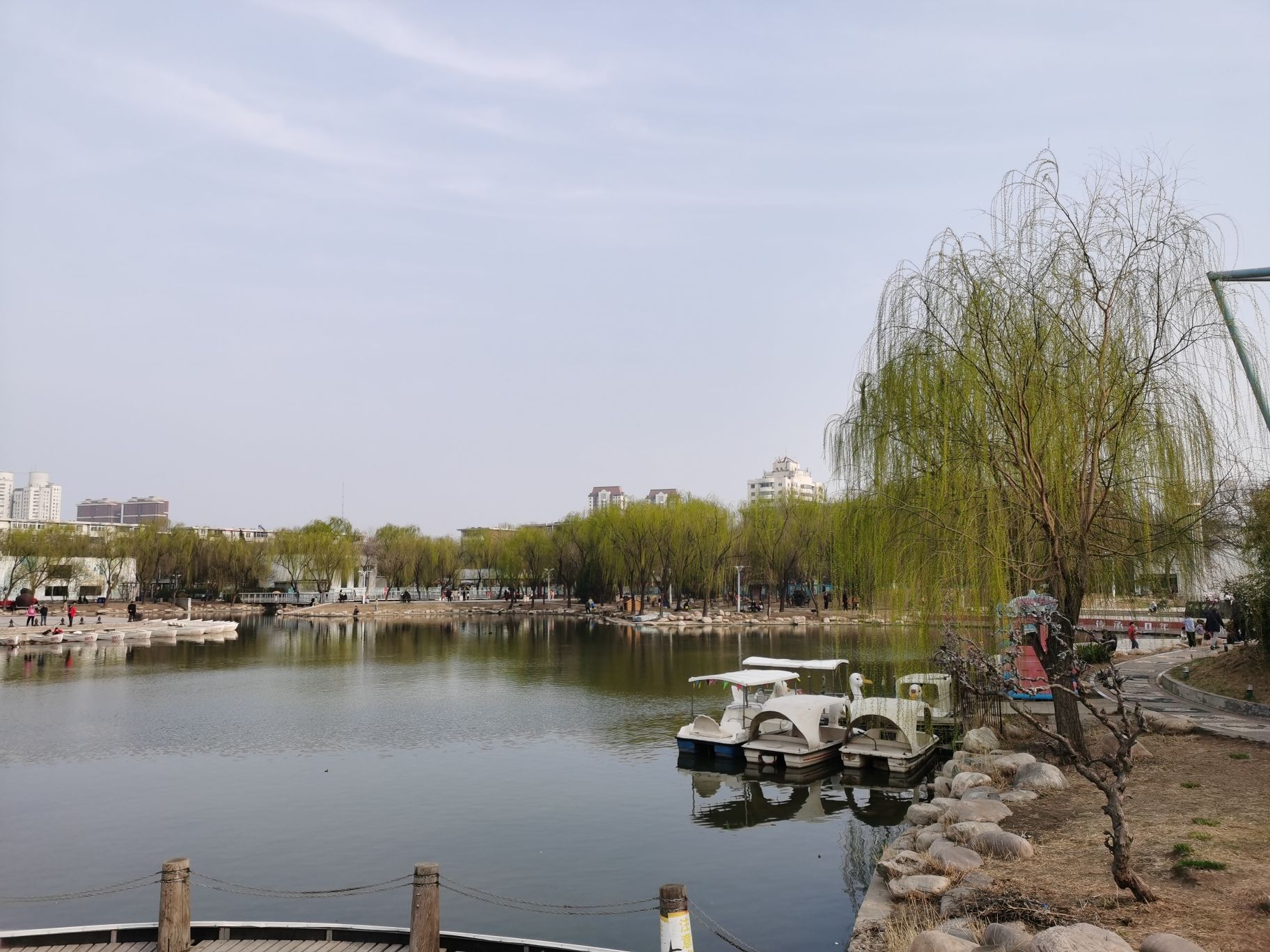 华夏未来儿童公园旅行图片 1