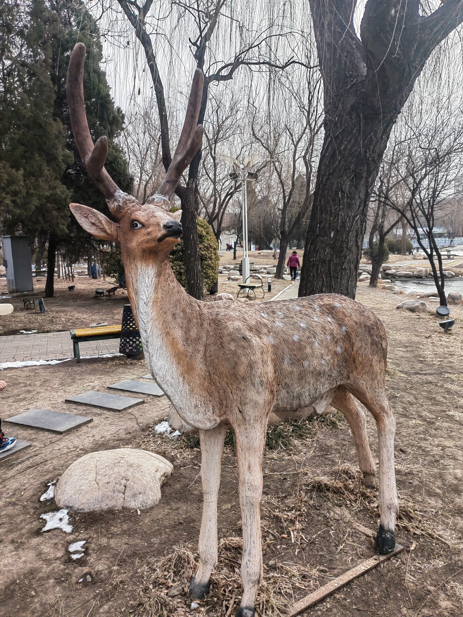 华夏未来儿童公园旅行图片 1