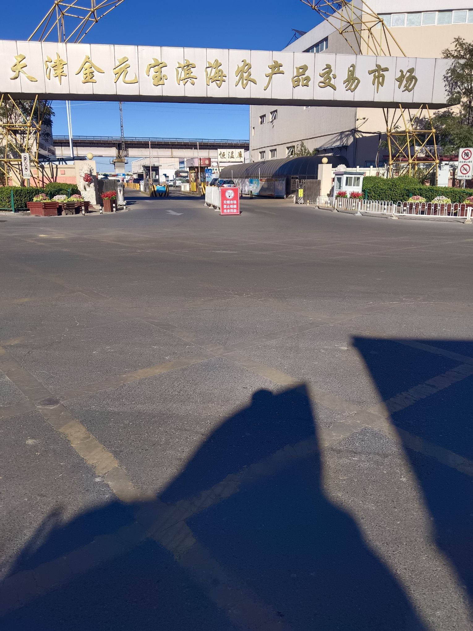 天津金元宝滨海农产品交易市场(共发大道)