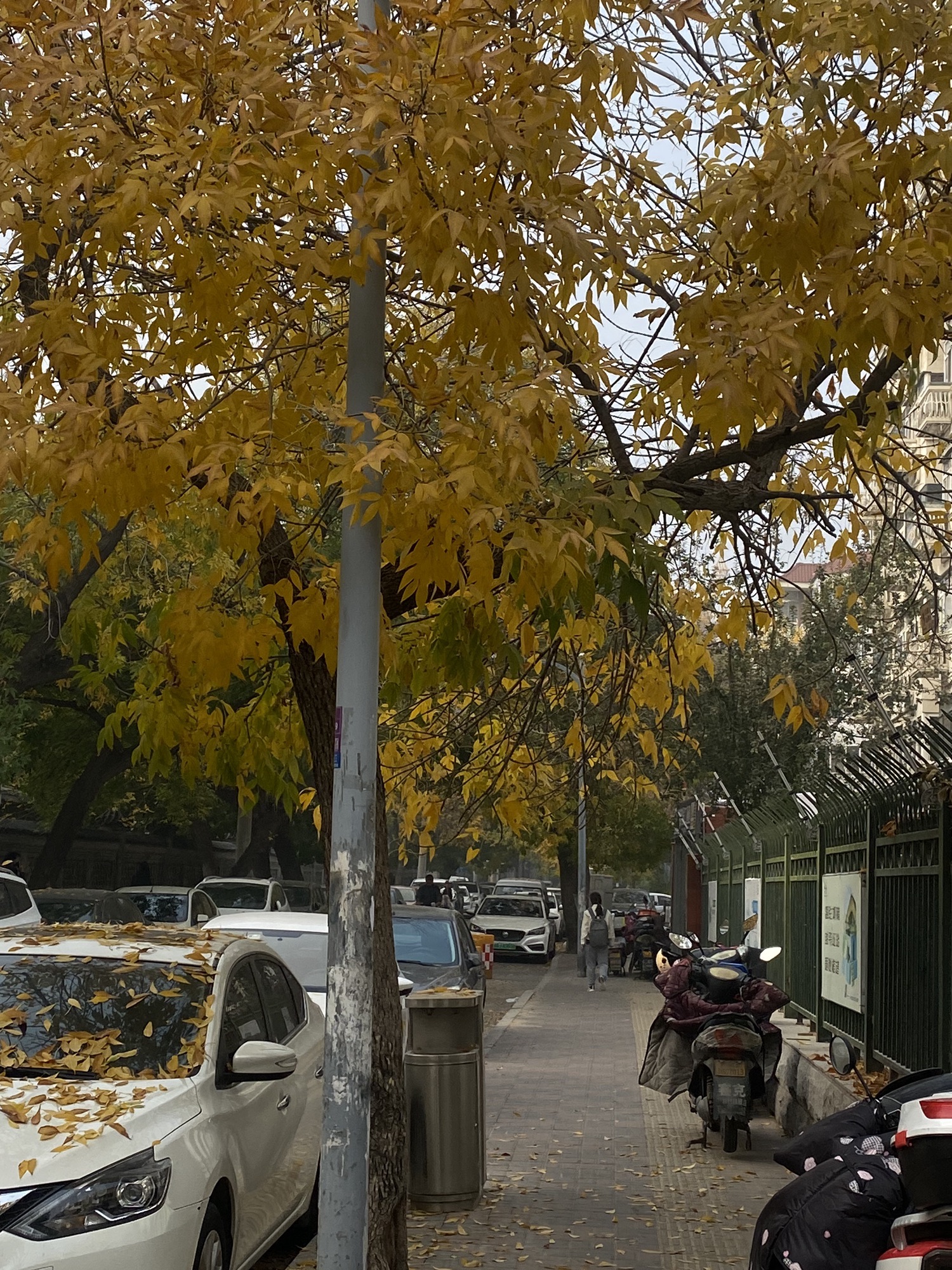 耳闸公园旅行图片 1