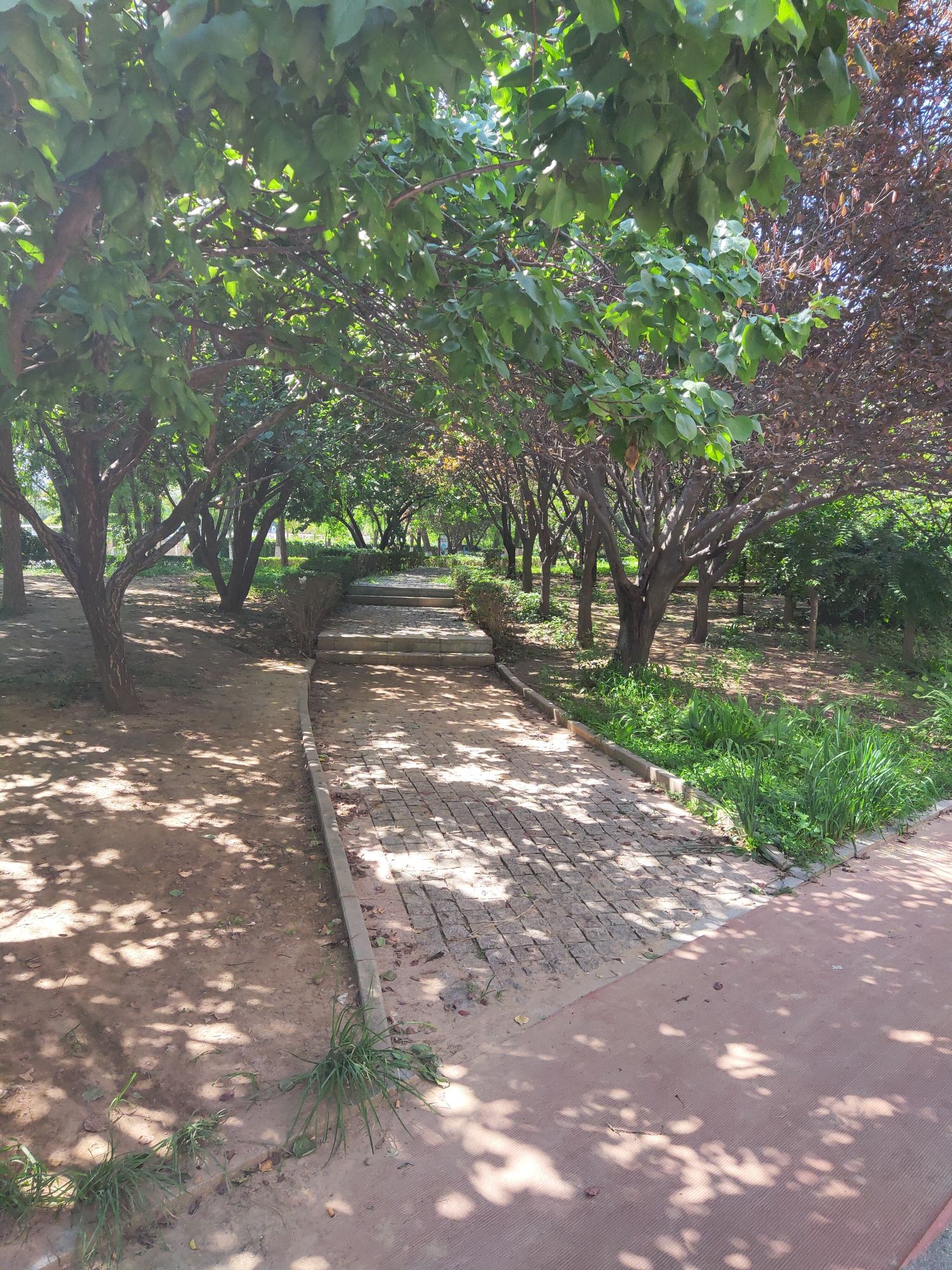 耳闸公园旅行图片 2