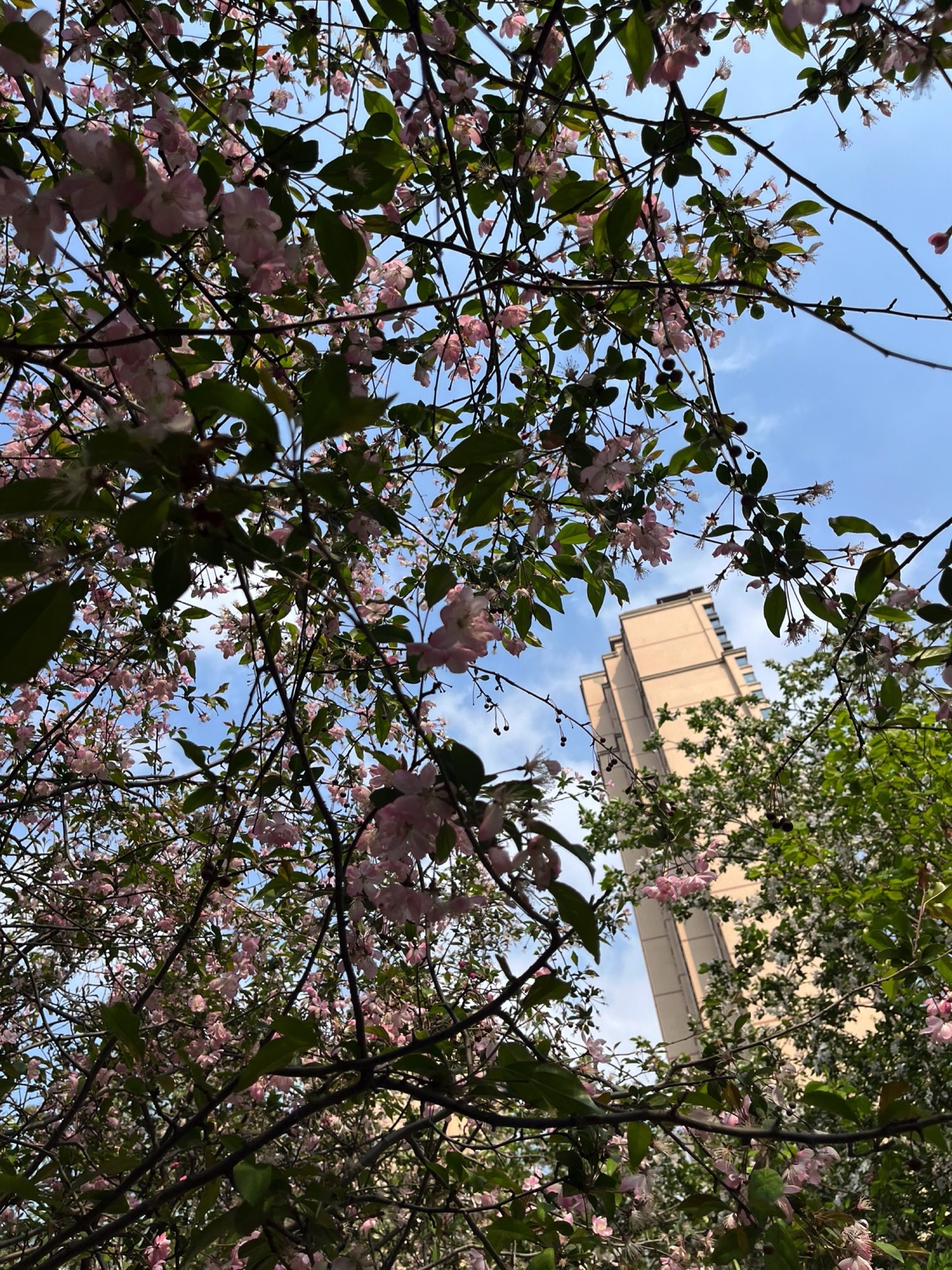 耳闸公园旅行图片 2