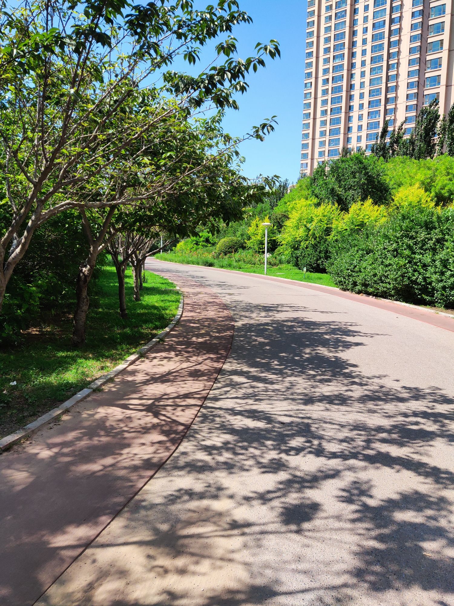 耳闸公园旅行图片 1