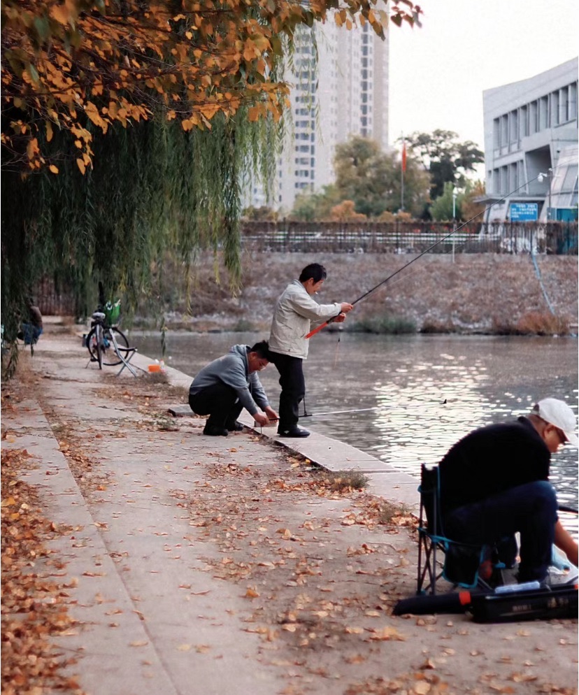 耳闸公园旅行图片 2