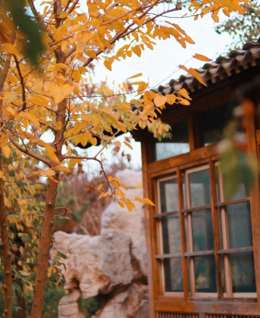 耳闸公园旅行图片 3