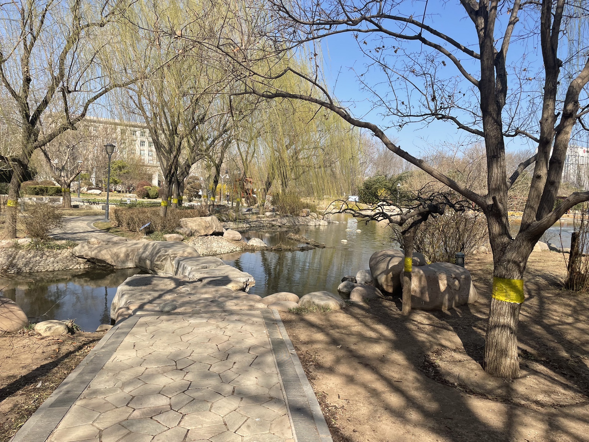文化公园旅行图片 3