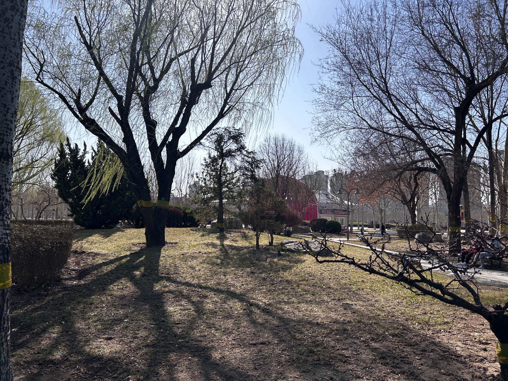 文化公园旅行图片 1