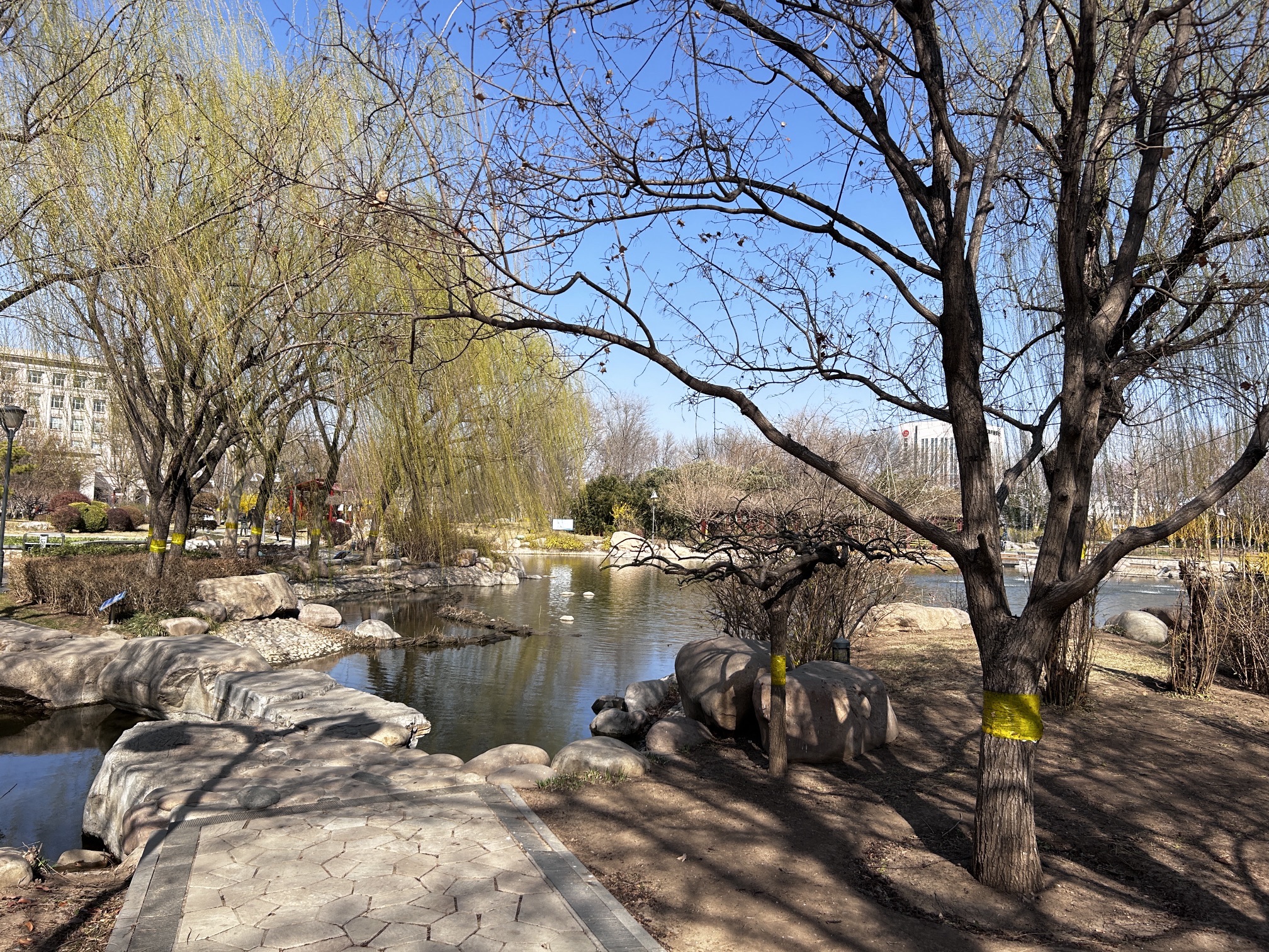 文化公园旅行图片 2
