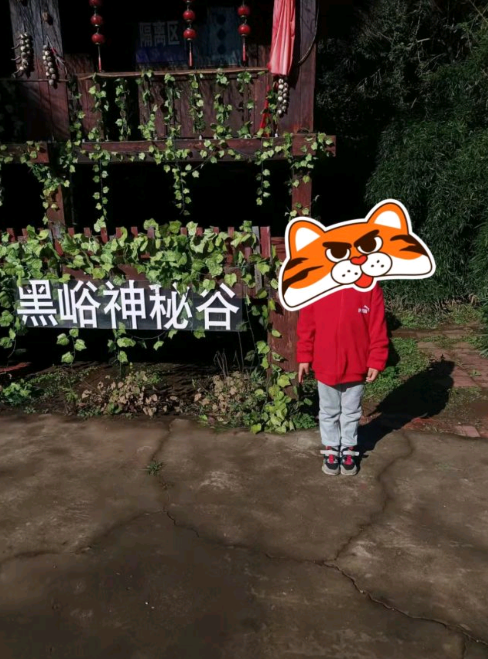 神秘谷旅行图片 1
