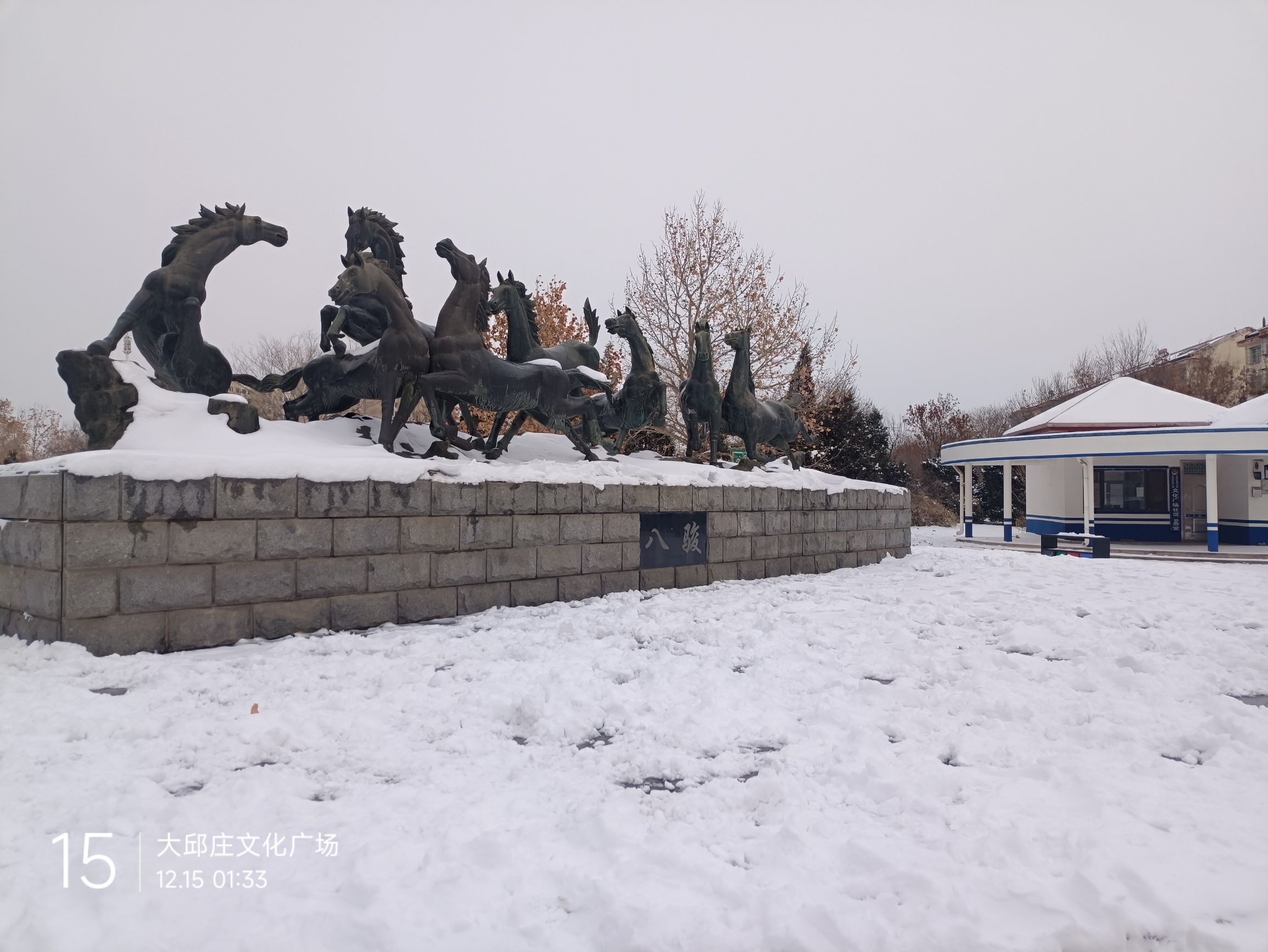 大邱庄文化广场旅行图片 1