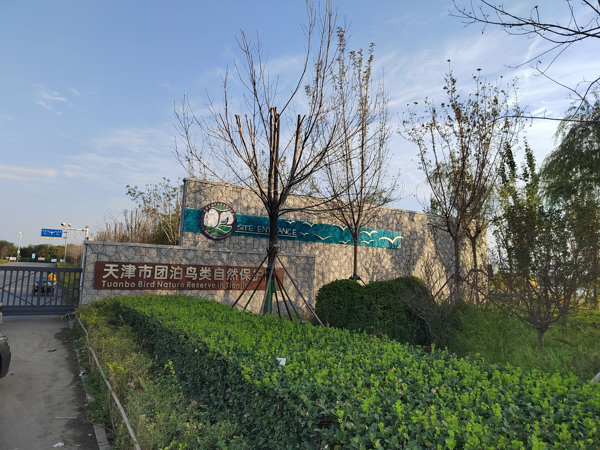 大邱庄文化广场旅行图片 3