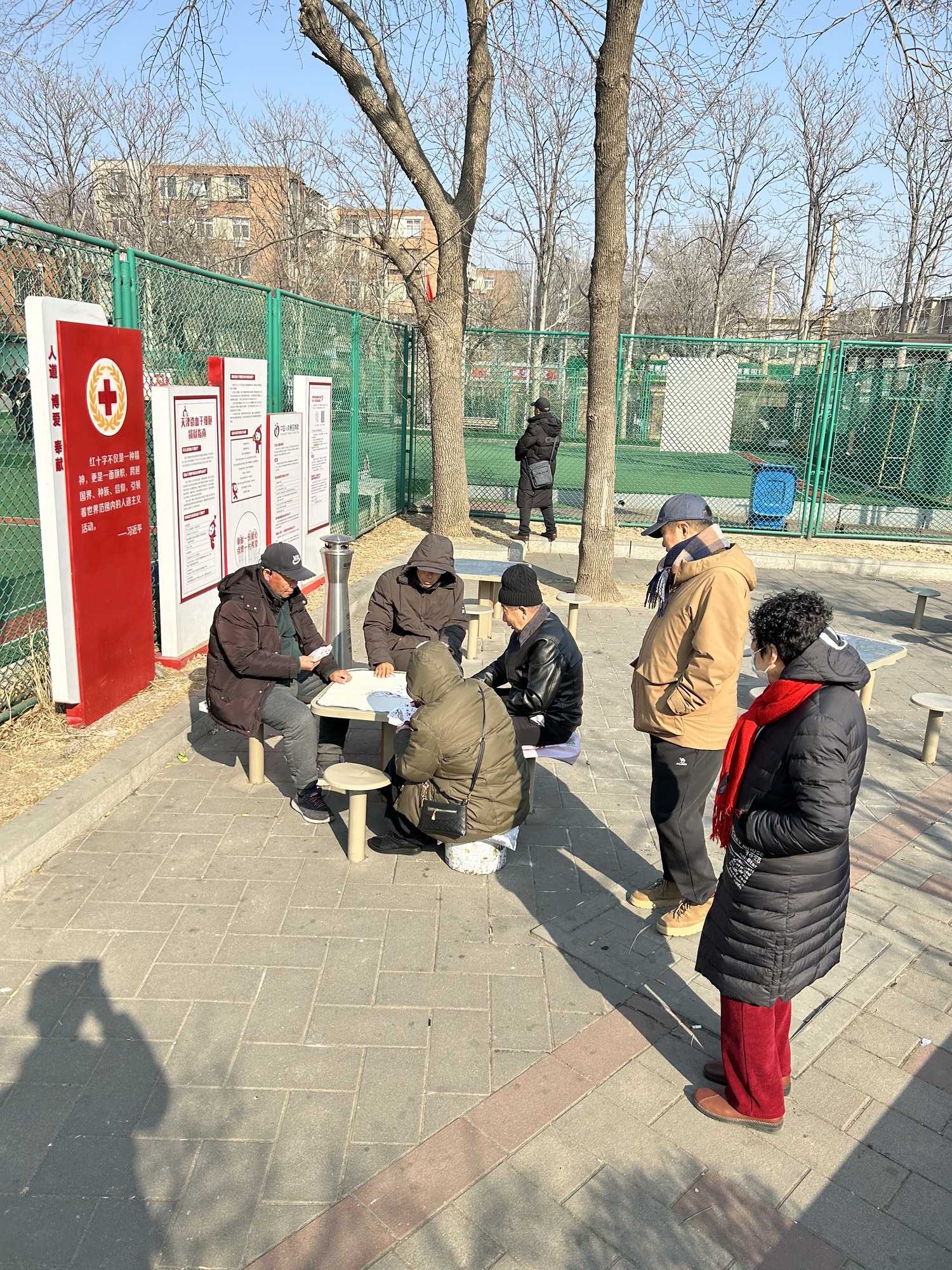 曲江公园旅行图片 3