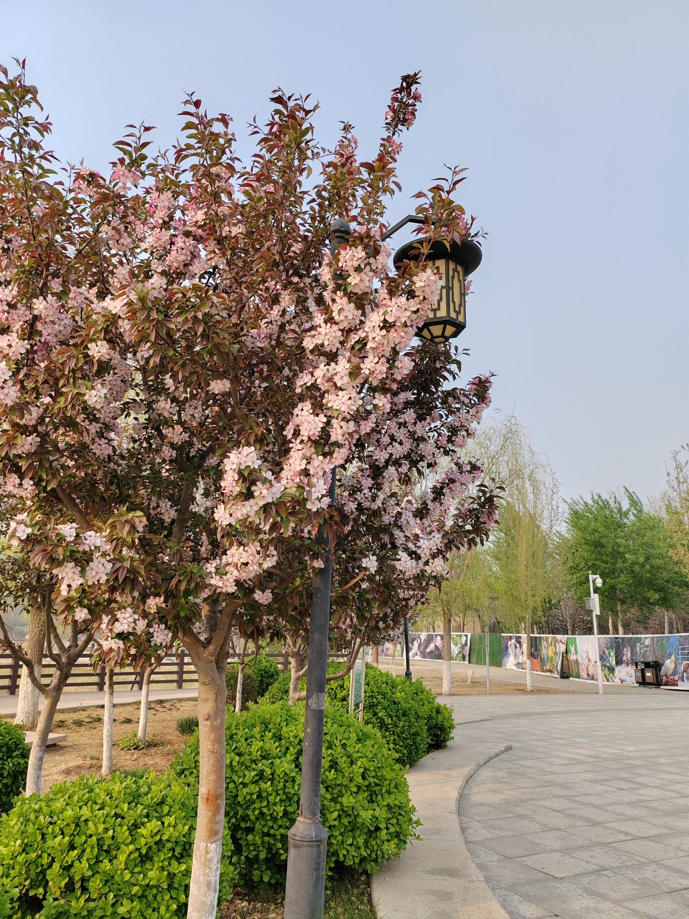 梅江风景区旅行图片 2