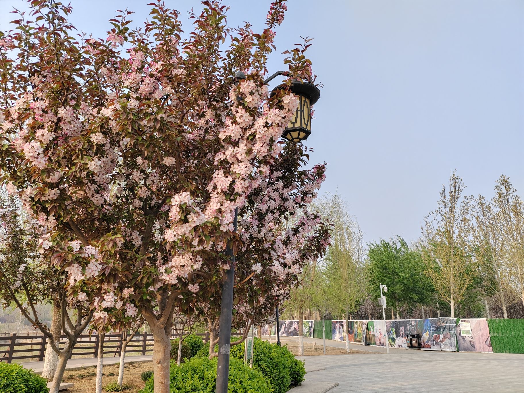梅江风景区旅行图片 3