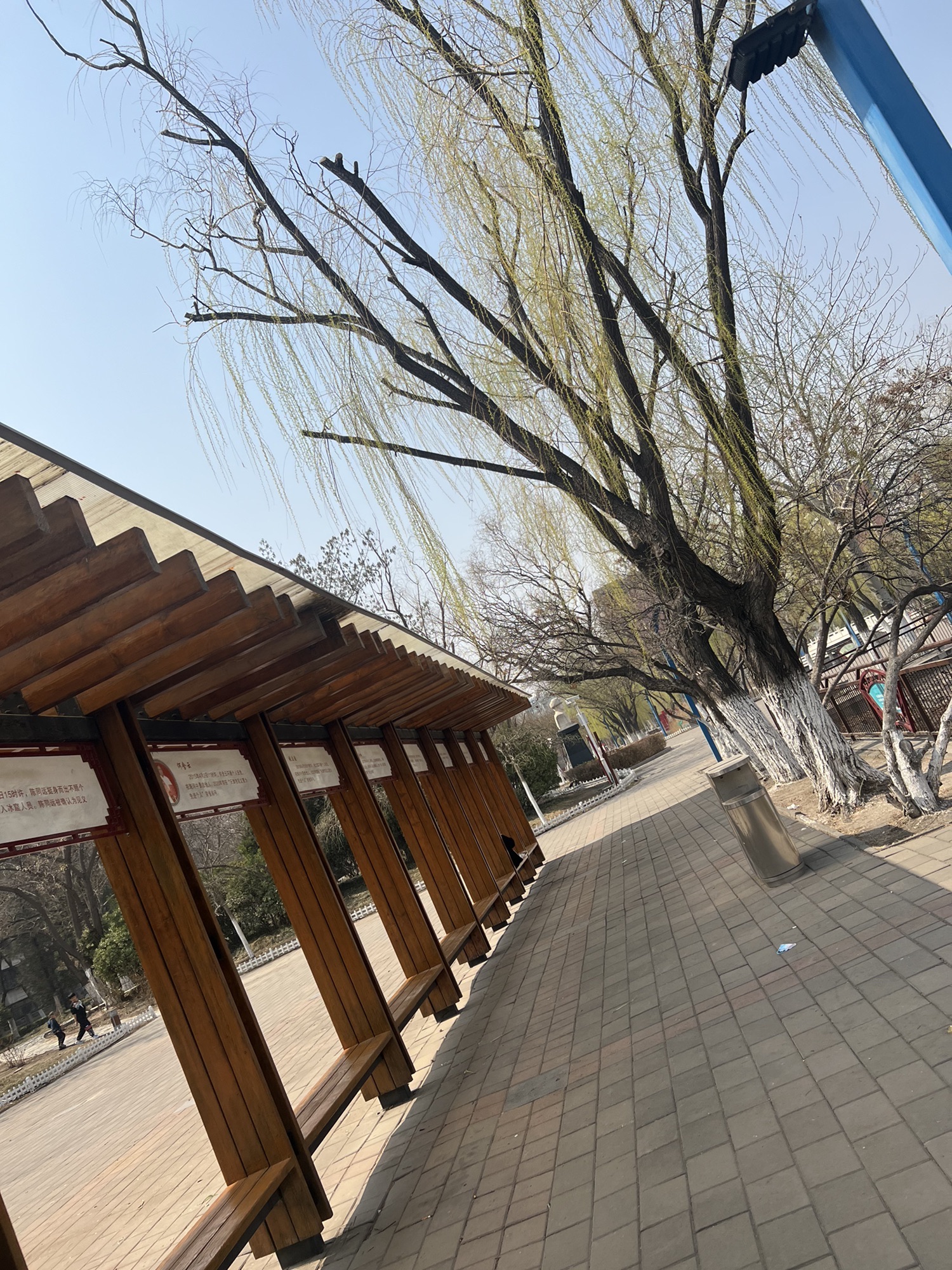 东丽公园旅行图片 3