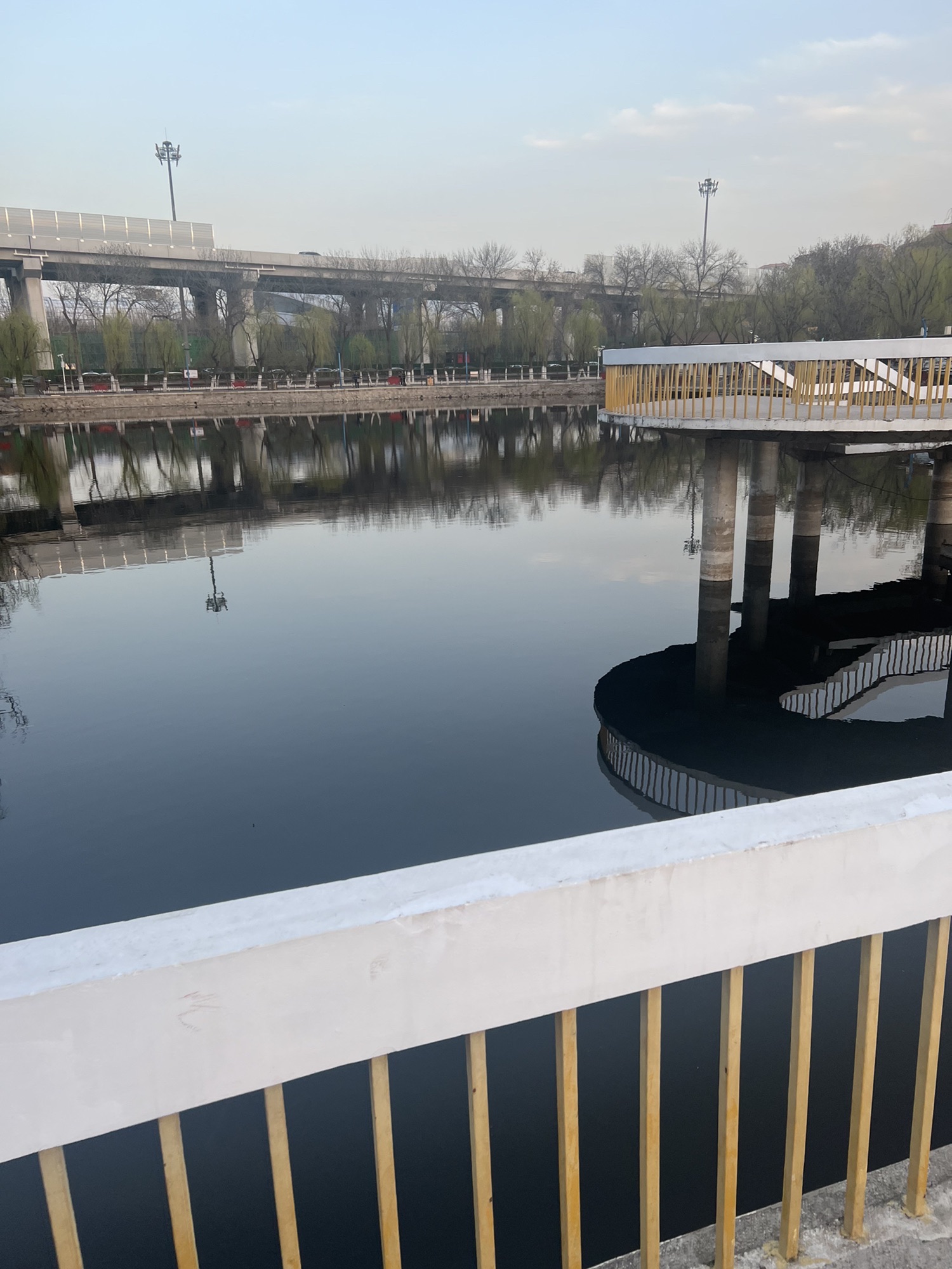 东丽公园旅行图片 3