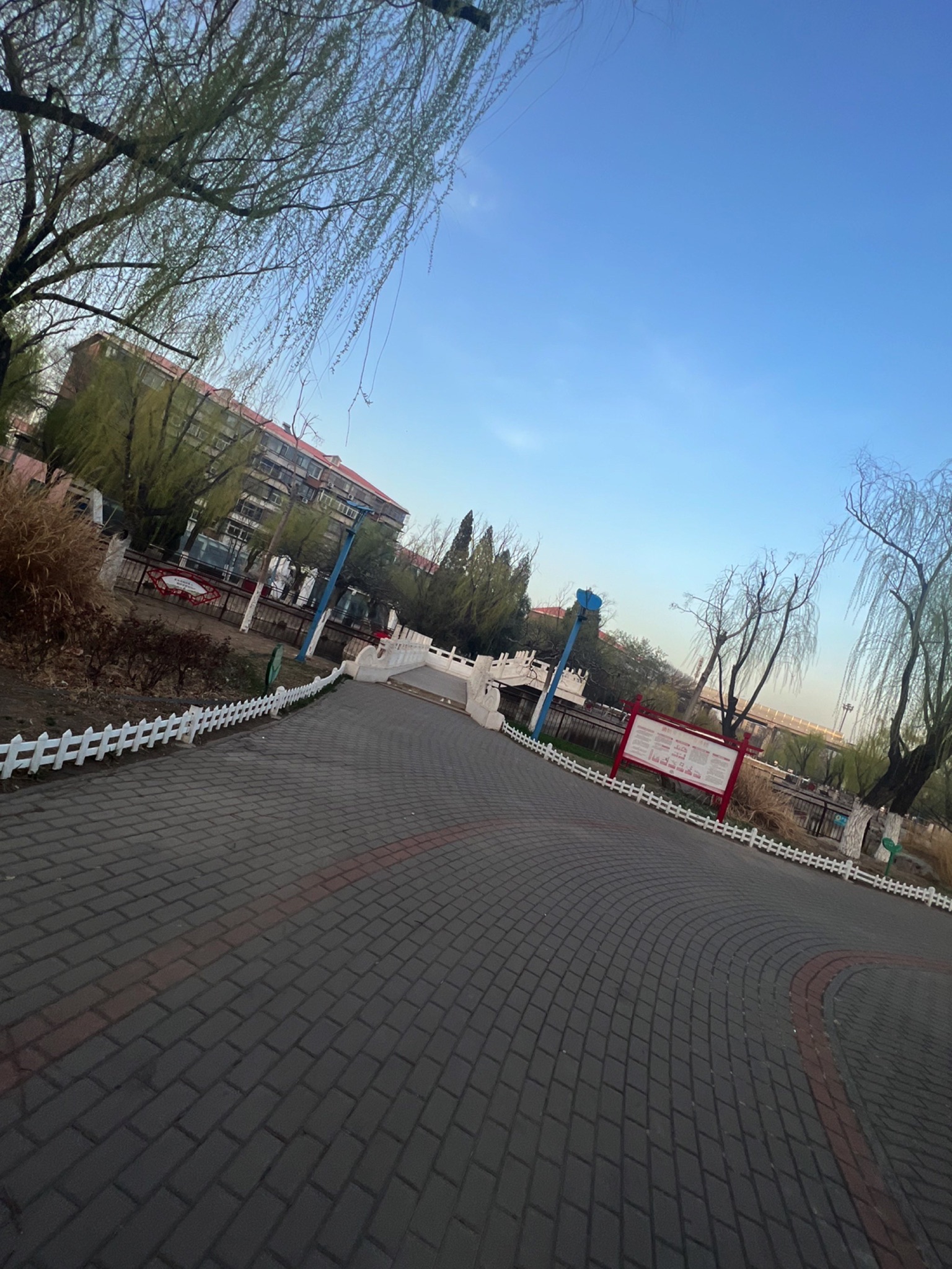东丽公园旅行图片 1