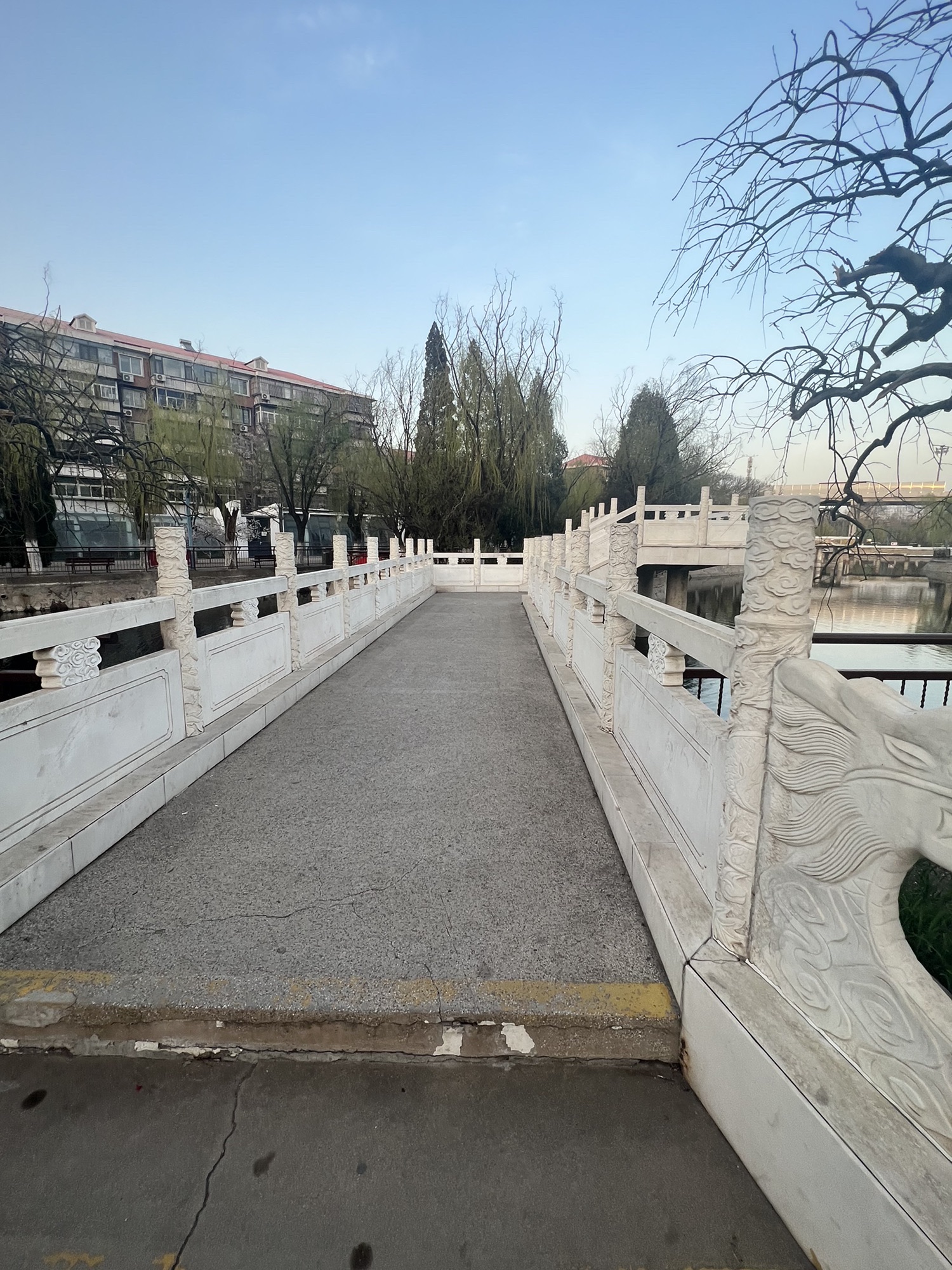 东丽公园旅行图片 1