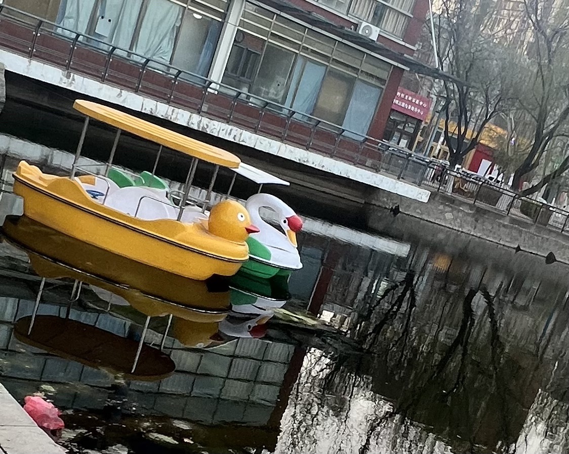 东丽公园旅行图片 2