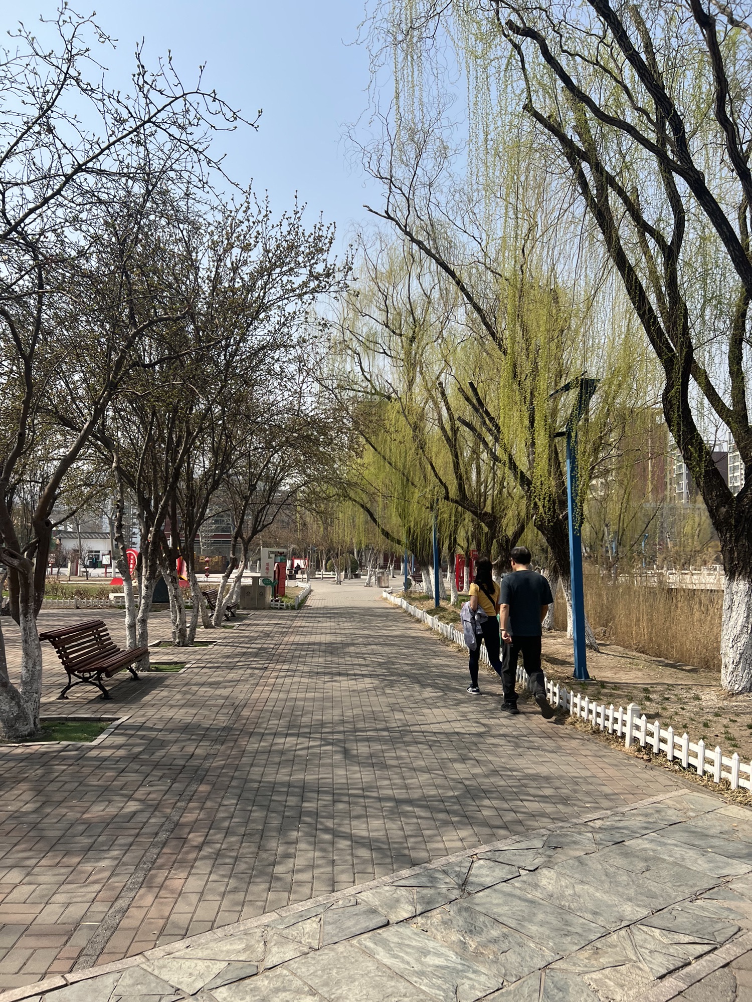 东丽公园旅行图片 3