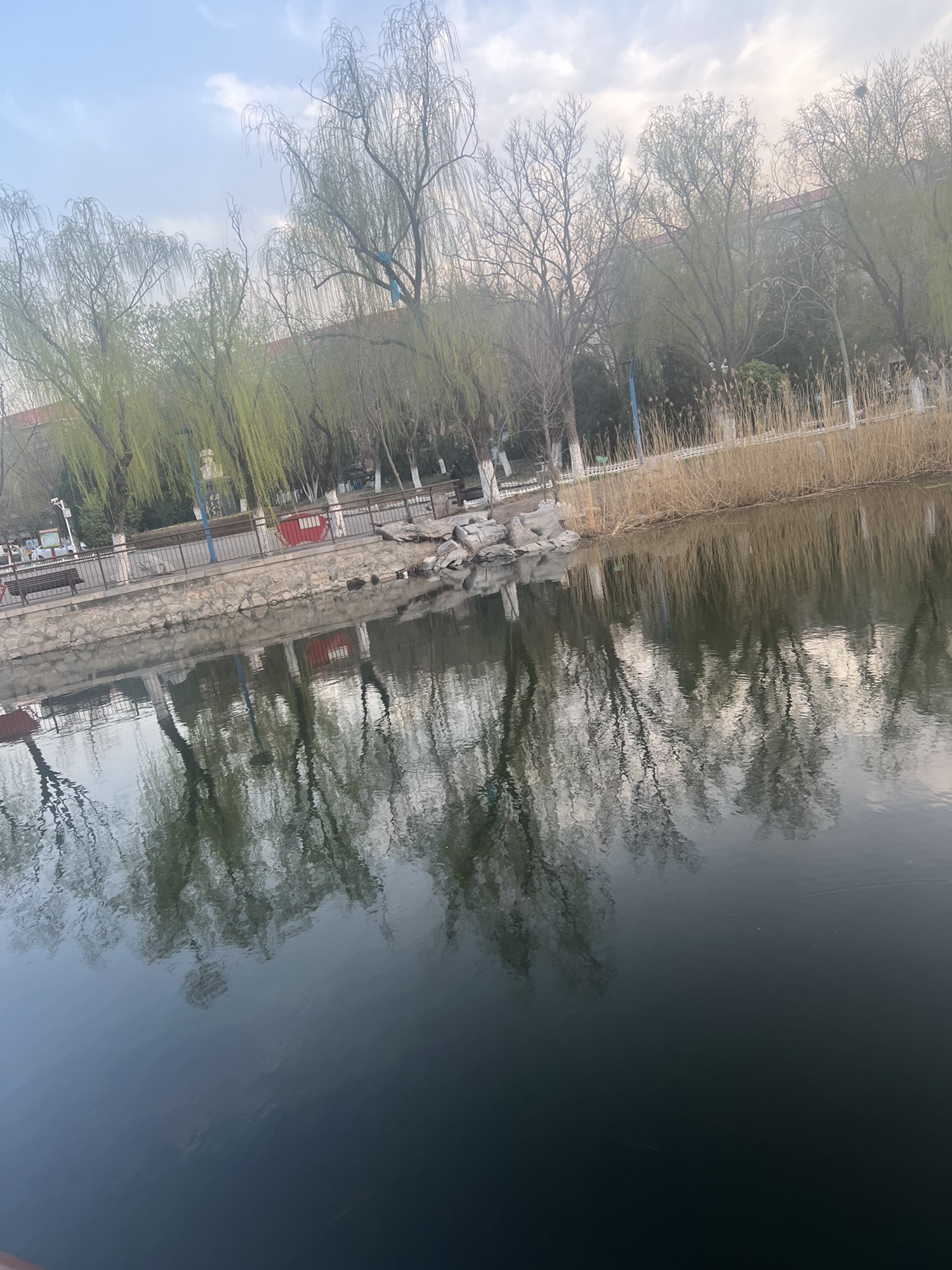 东丽公园旅行图片 1