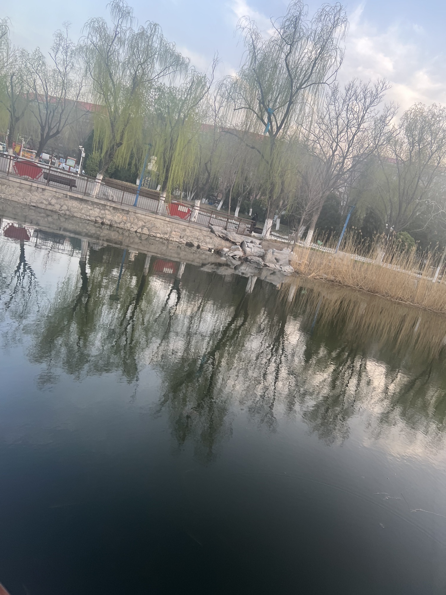 东丽公园旅行图片 3