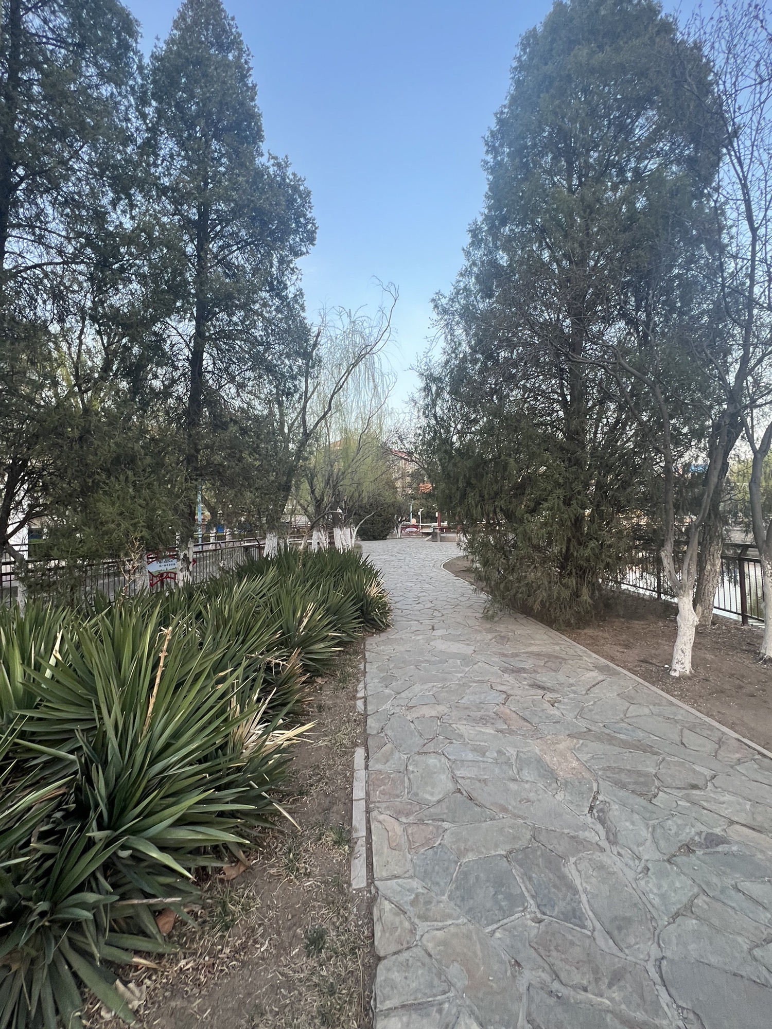 东丽公园旅行图片 3