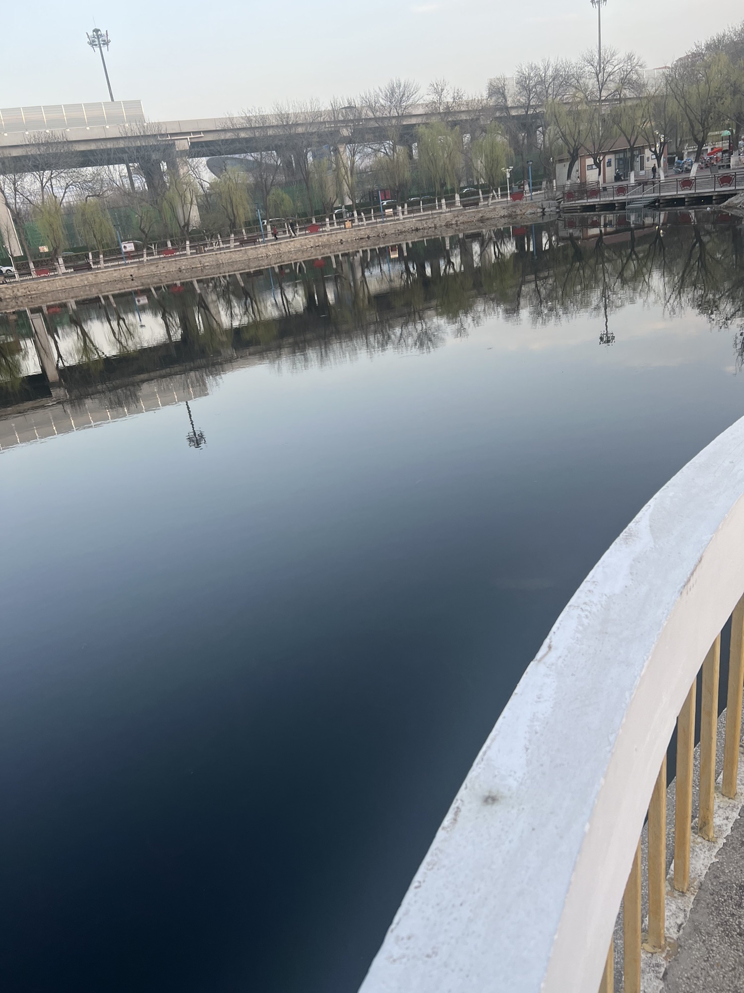 东丽公园旅行图片 1
