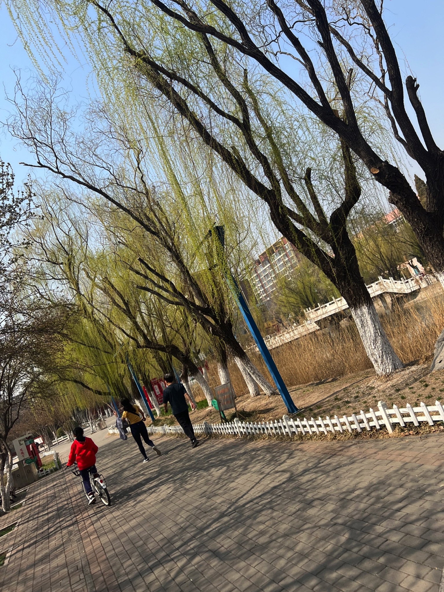 东丽公园旅行图片 1