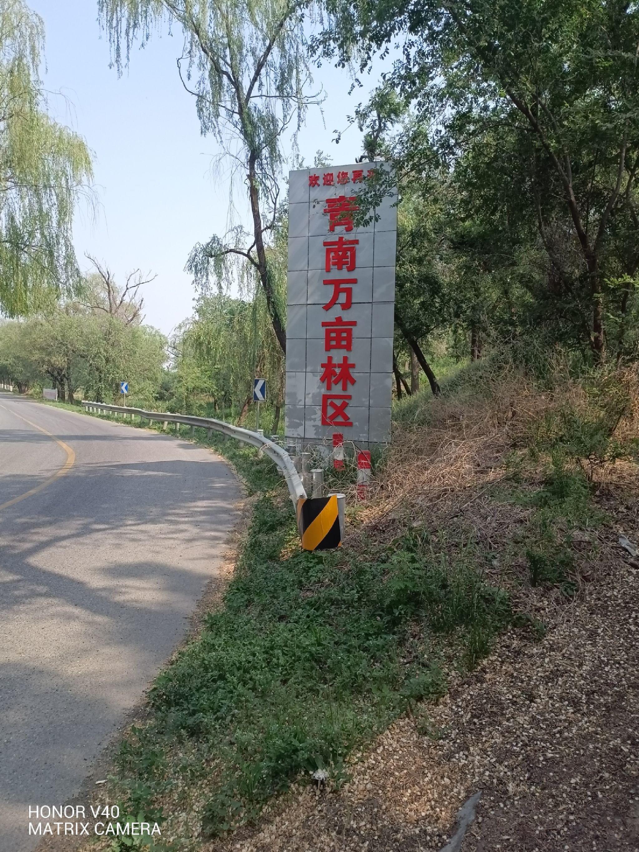 青南万亩生态林景区旅行图片 1