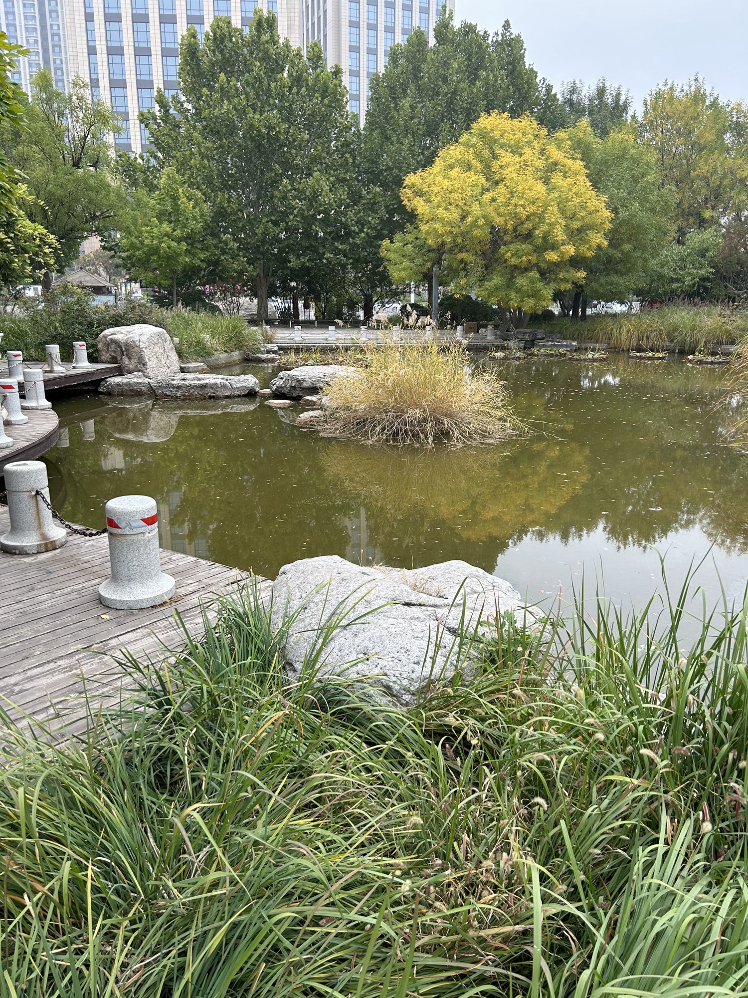 如意园旅行图片 2