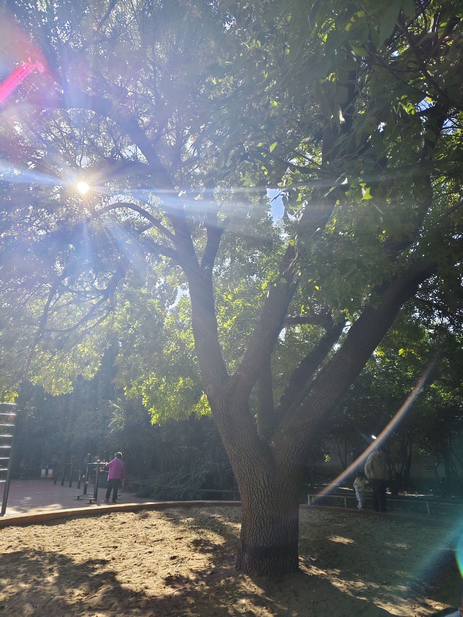 如意园旅行图片 3