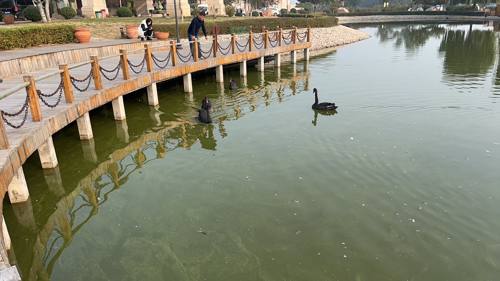 中智农场旅行图片 3