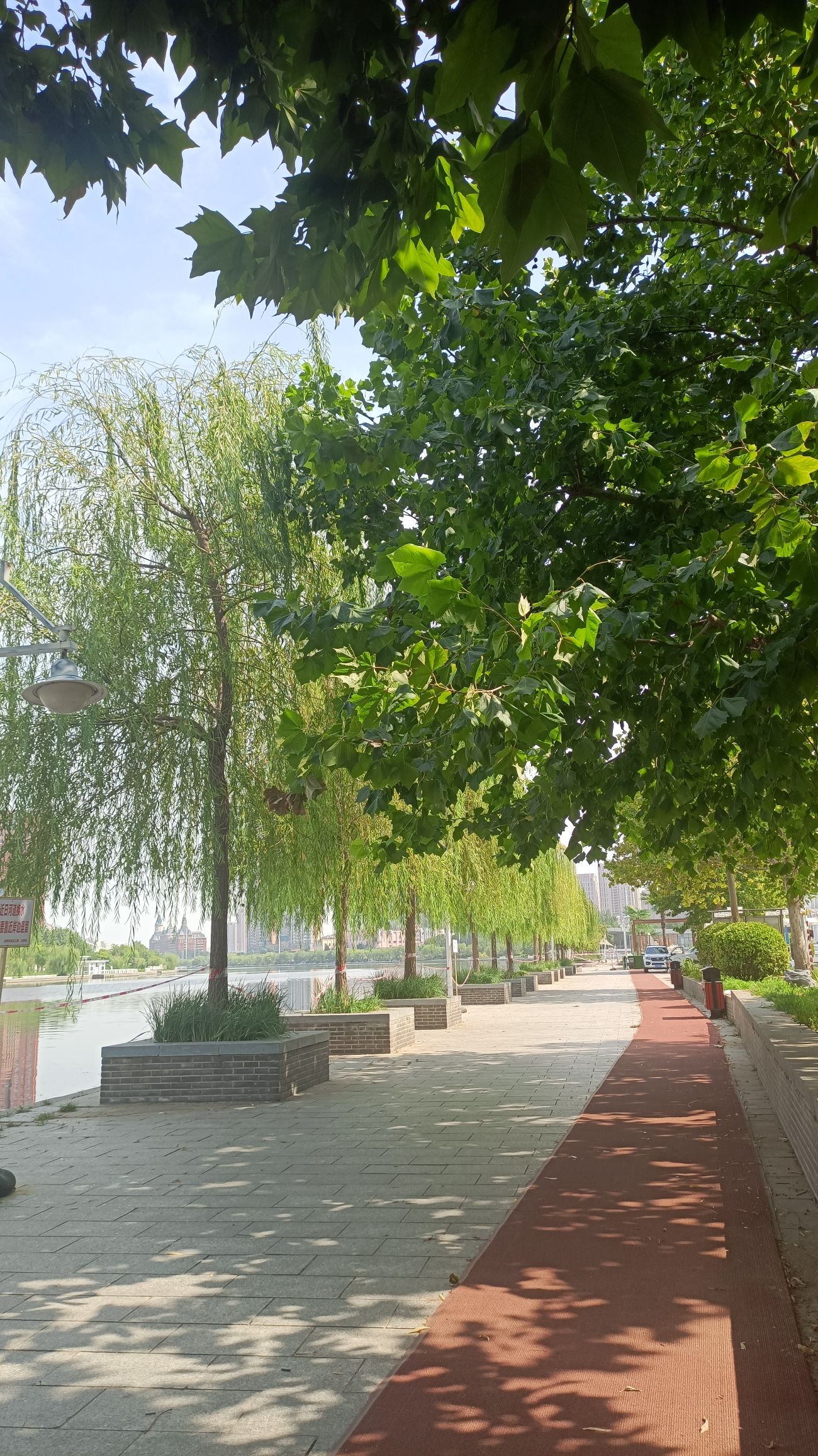 天津湾公园旅行图片 3