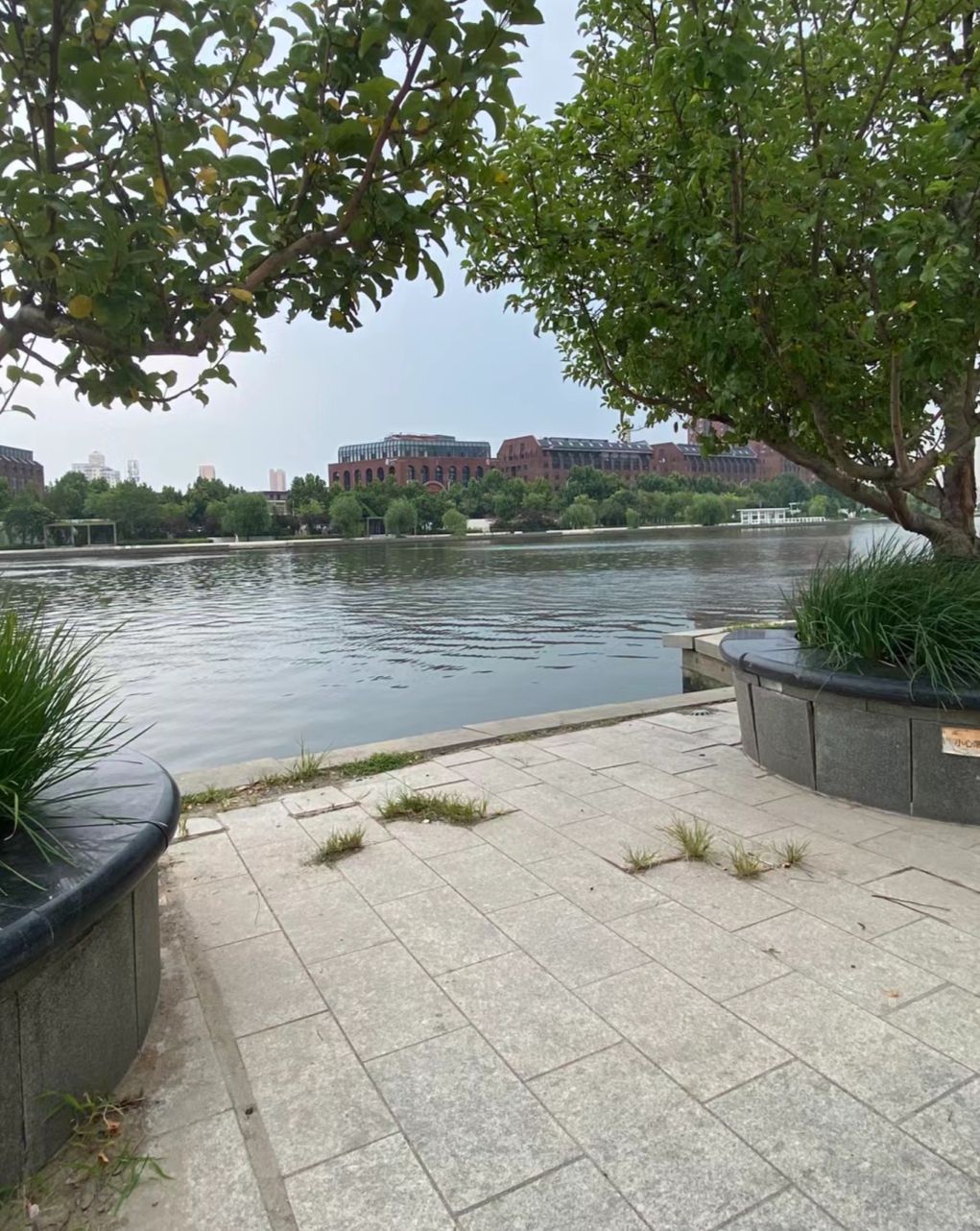 天津湾公园旅行图片 2