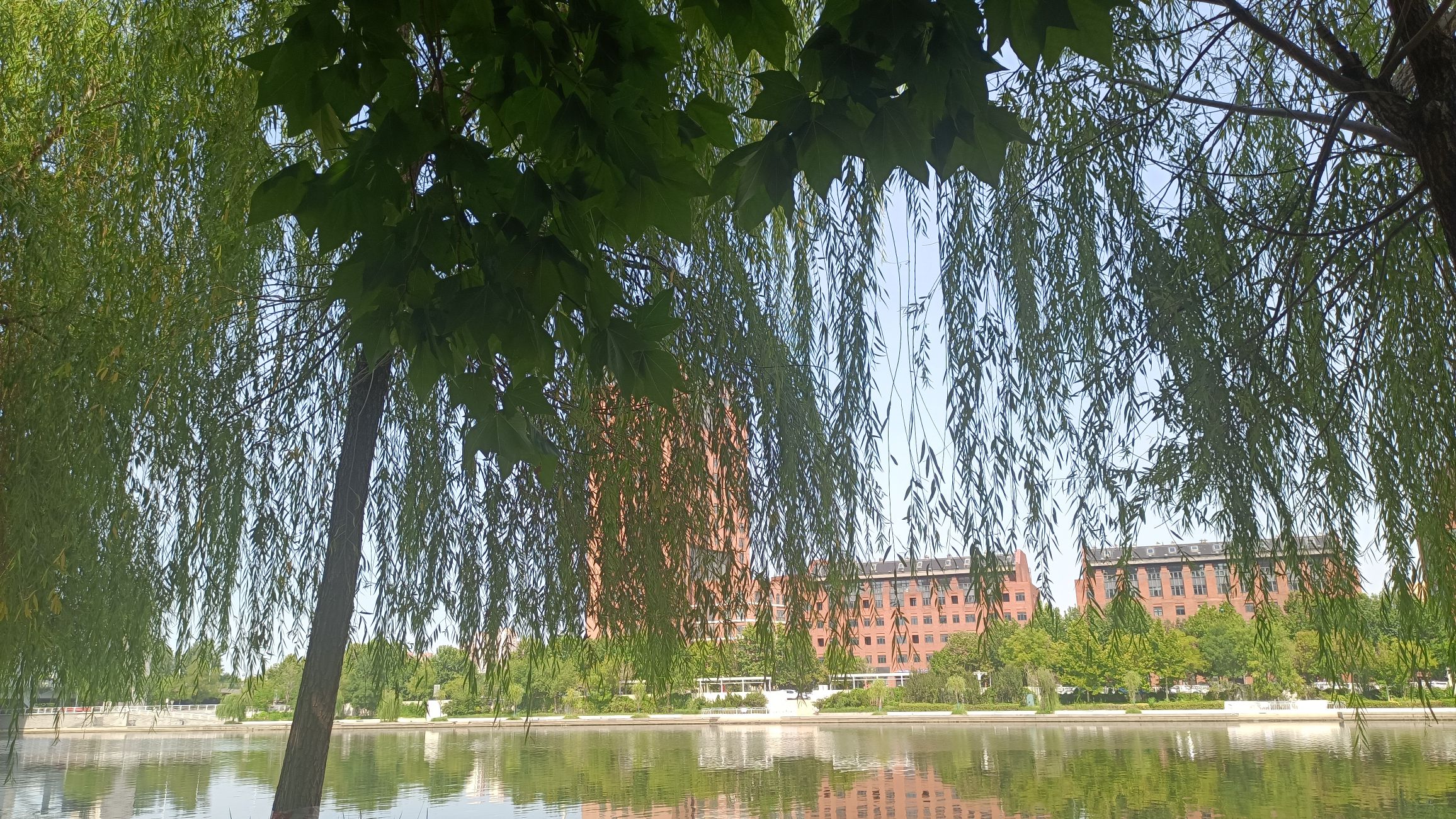 天津湾公园旅行图片 2