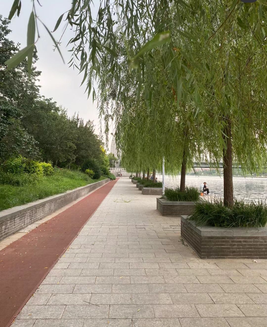 天津湾公园旅行图片 3